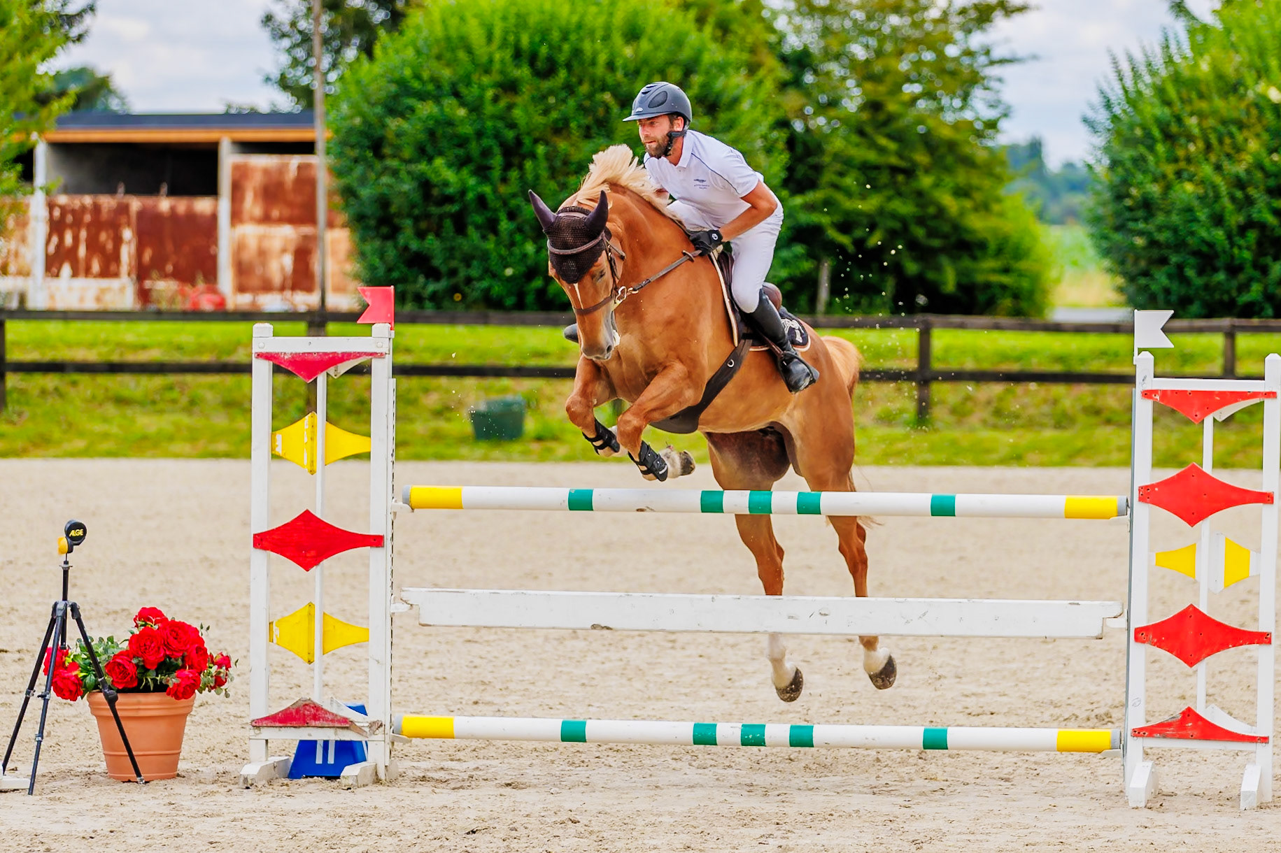 13 juillet 2024 / Haras de Liverdy-en-Brie / Seine-et-Marne / Saut d'obstacles Pro 3 Grand Prix (1.25 m)