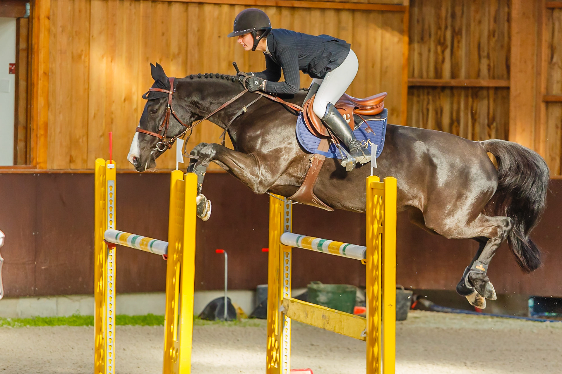 Concours hippique Liverdy-en Brie (77)