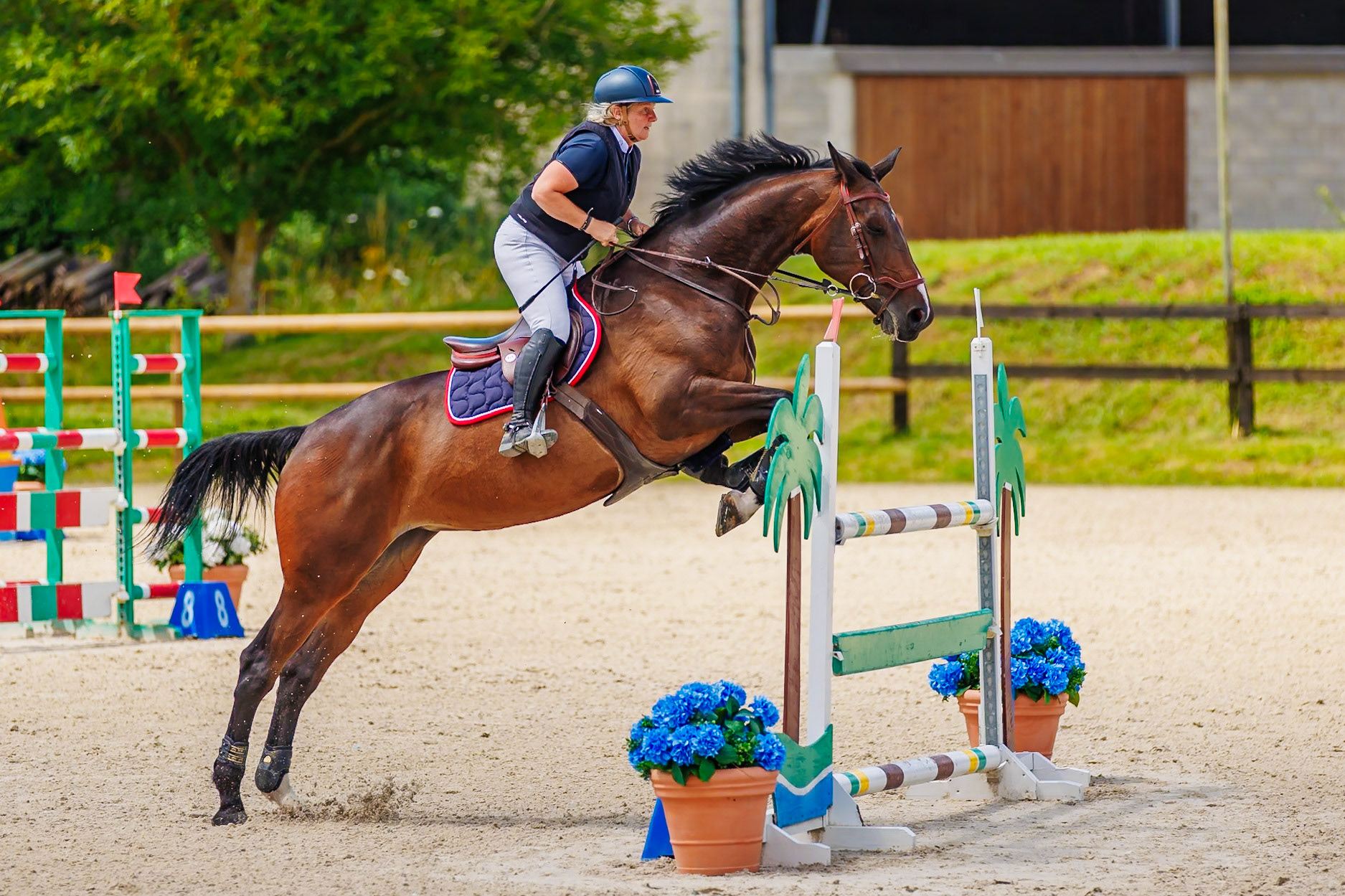13 juillet 2024 / Haras de Liverdy-en-Brie / Seine-et-Marne / Saut d'obstacles Amateur 1  Grand Prix (1.20 m)