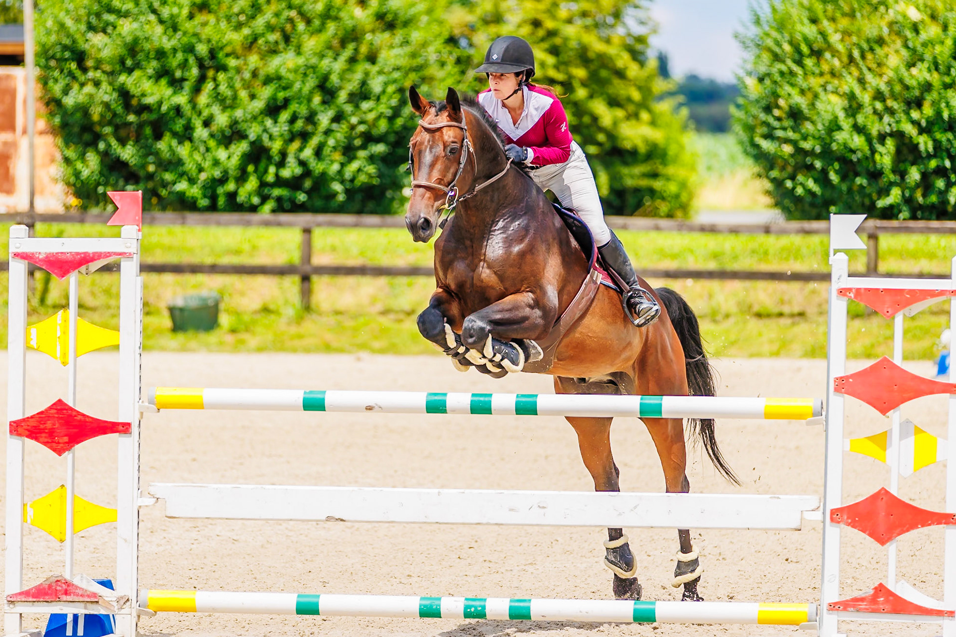 13 juillet 2024 / Haras de Liverdy-en-Brie / Seine-et-Marne / Saut d'obstacles Amateur 1  Grand Prix (1.20 m)