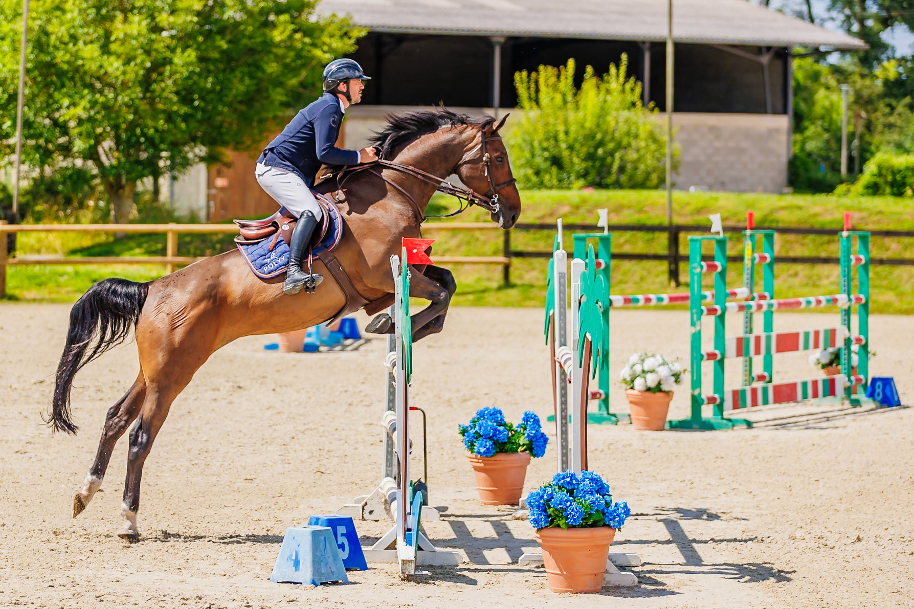 13 juillet 2024 / Haras de Liverdy-en-Brie / Seine-et-Marne / Saut d'obstacles Amateur 1  Grand Prix (1.20 m)
