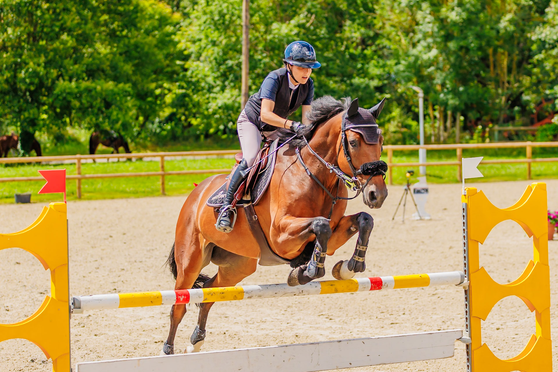 13 juillet 2024 / Haras de Liverdy-en-Brie / Seine-et-Marne / Saut d'obstacles Amateur 1  Grand Prix (1.20 m)