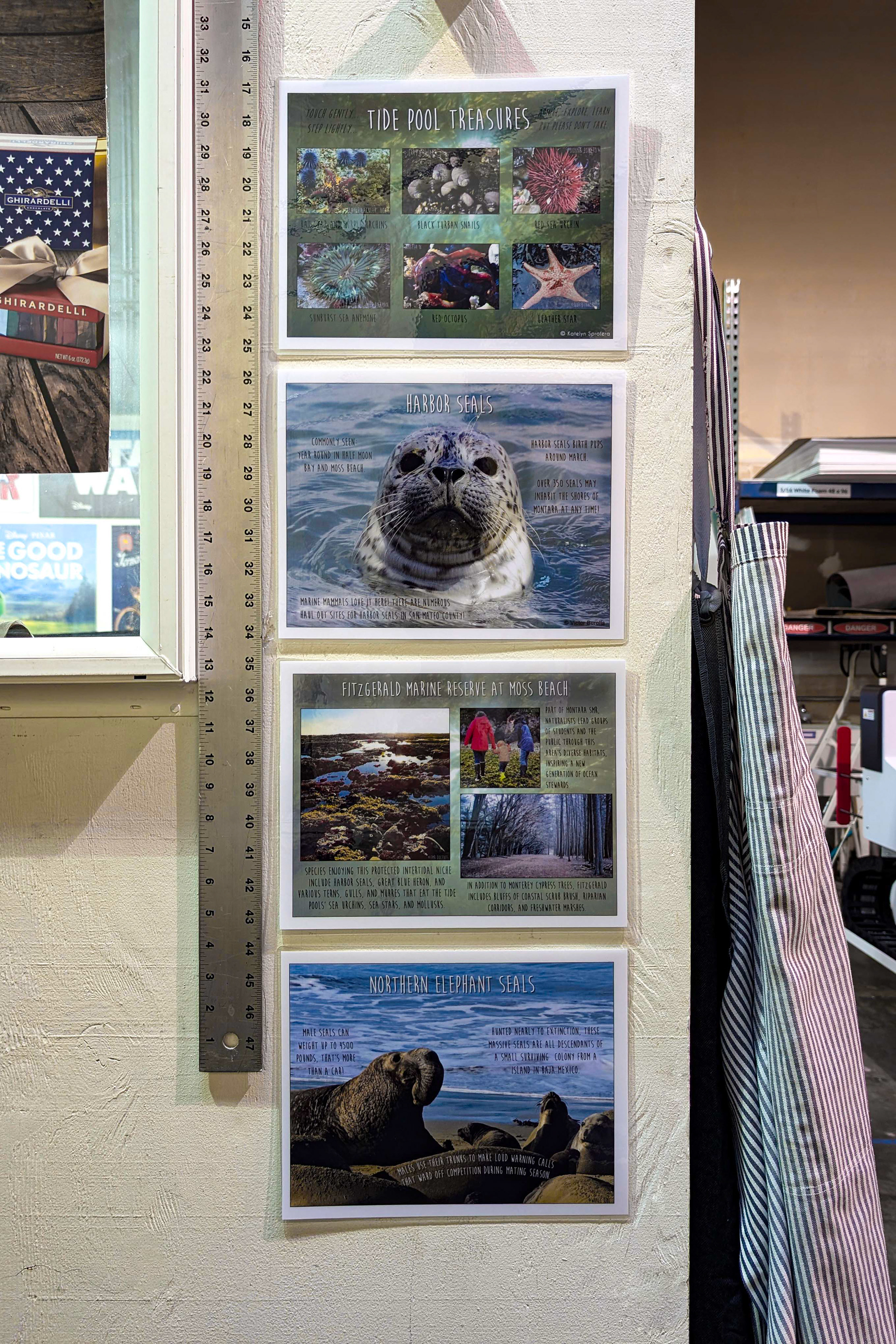 Lamination Sign Wall Display Educational Museum