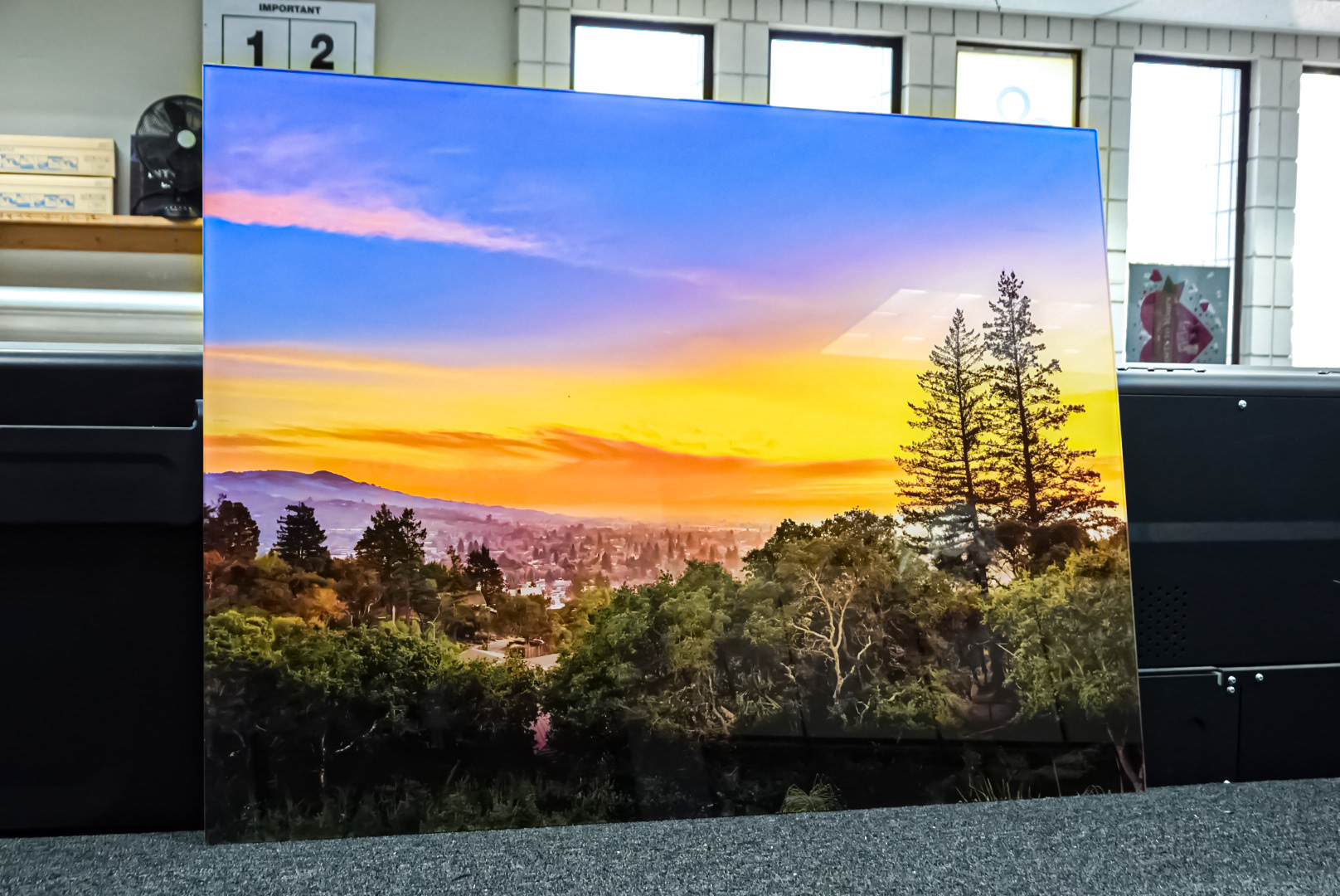 Large Format Acrylic Print