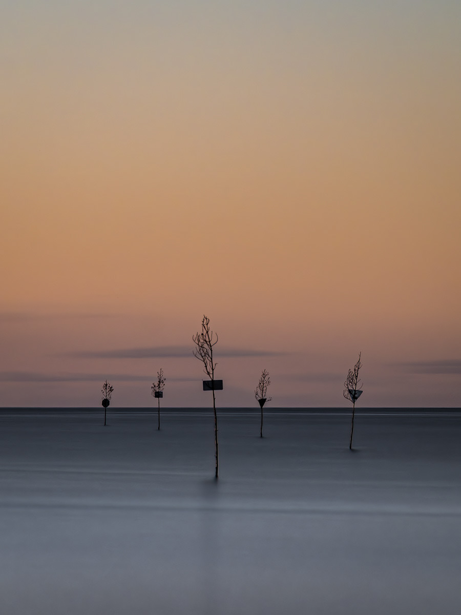 Sundown at Rock Harbor, ME, USA