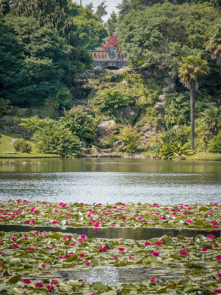 Sheffield Castle Garden