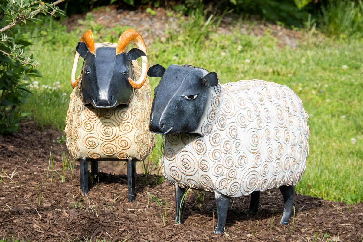 Roaming the grounds of the Nicholls Estate, Cornwall,NY