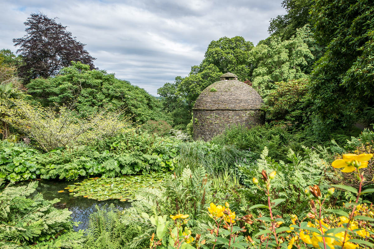 The Dovecote, Cotehele