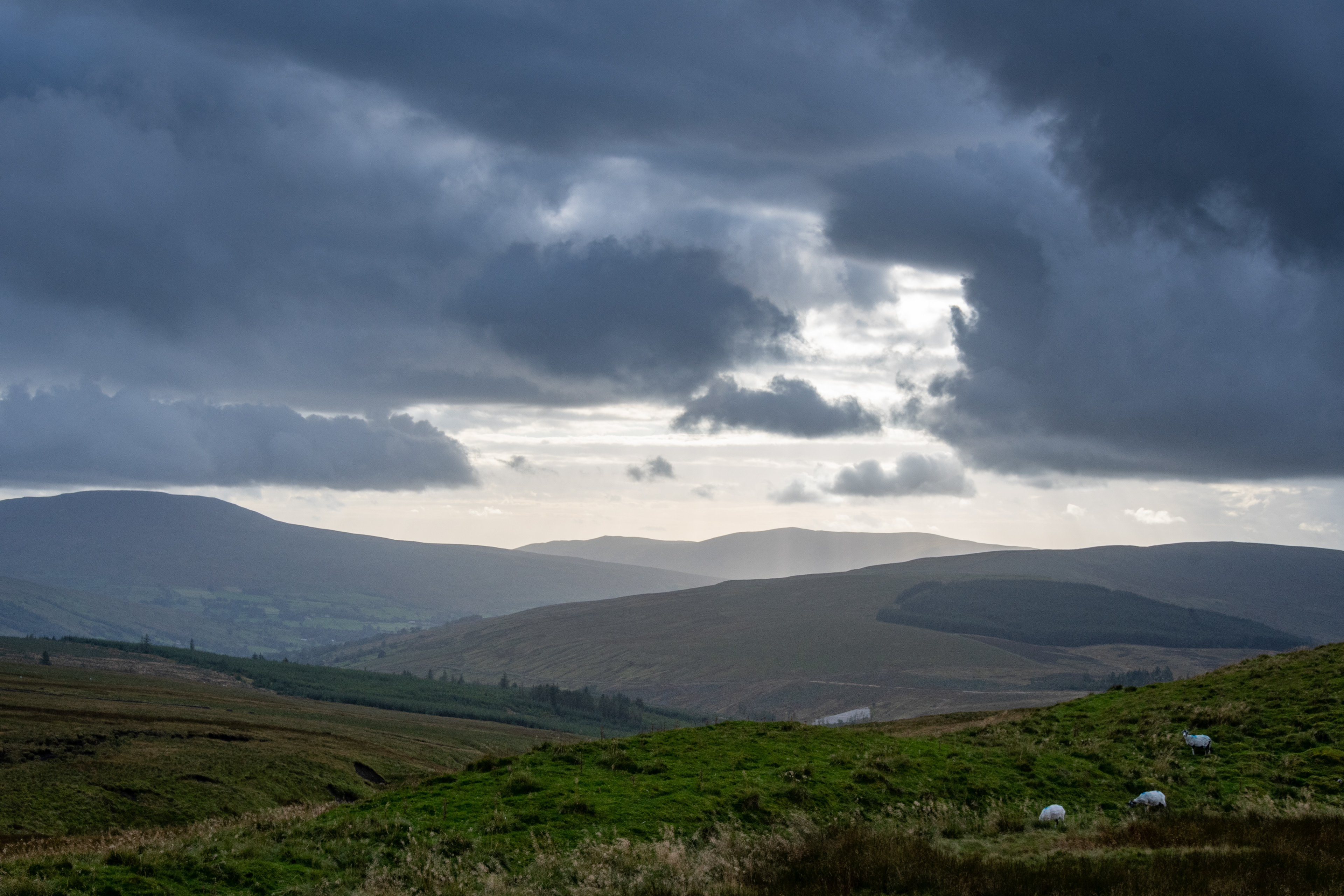 Crossing the moor at sundown, between Dent station and Garsdale Head