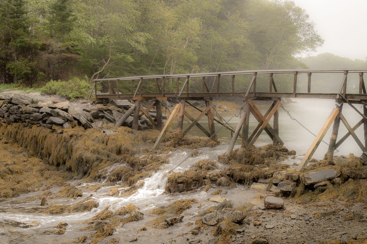 Back Cove, New Harbor, Maine