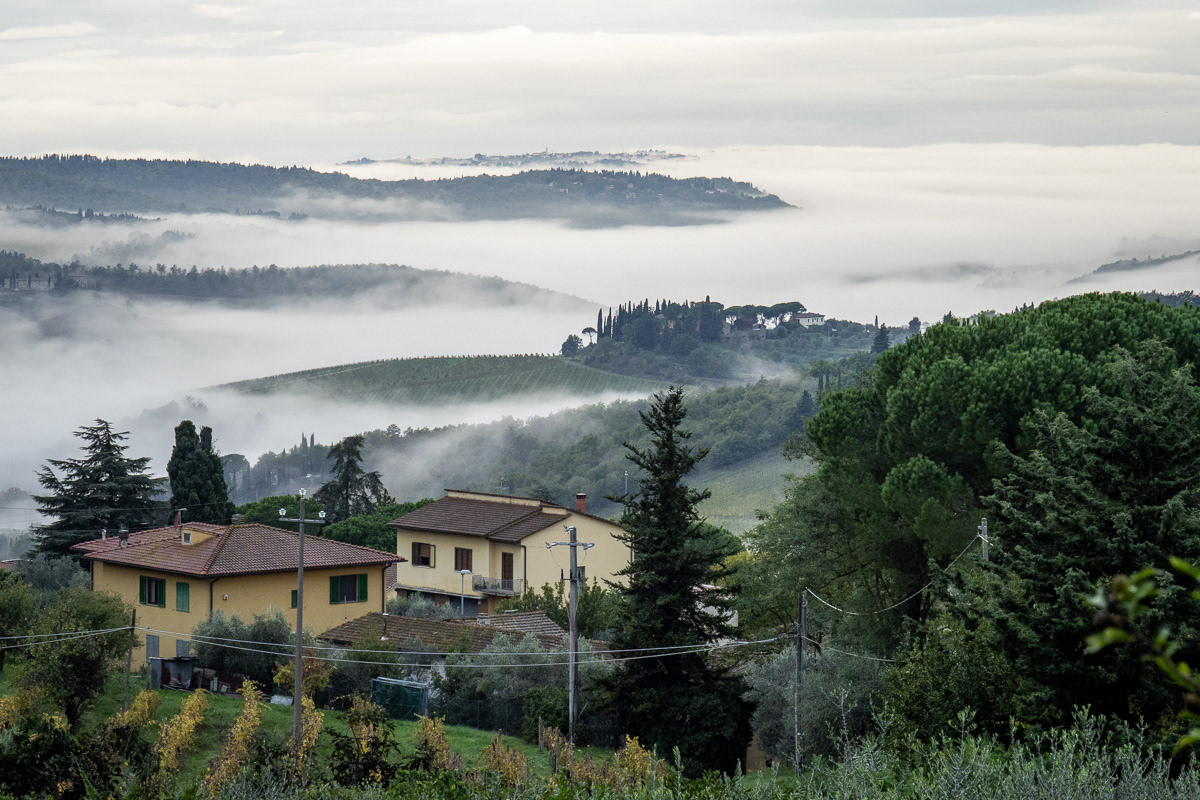 Early Morning, Panzano