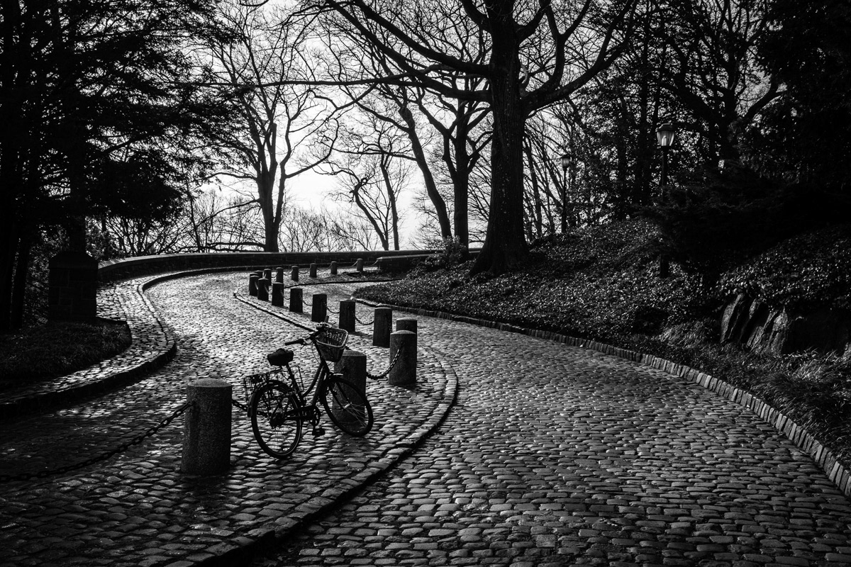 Morning at the Cloisters Museum, New York