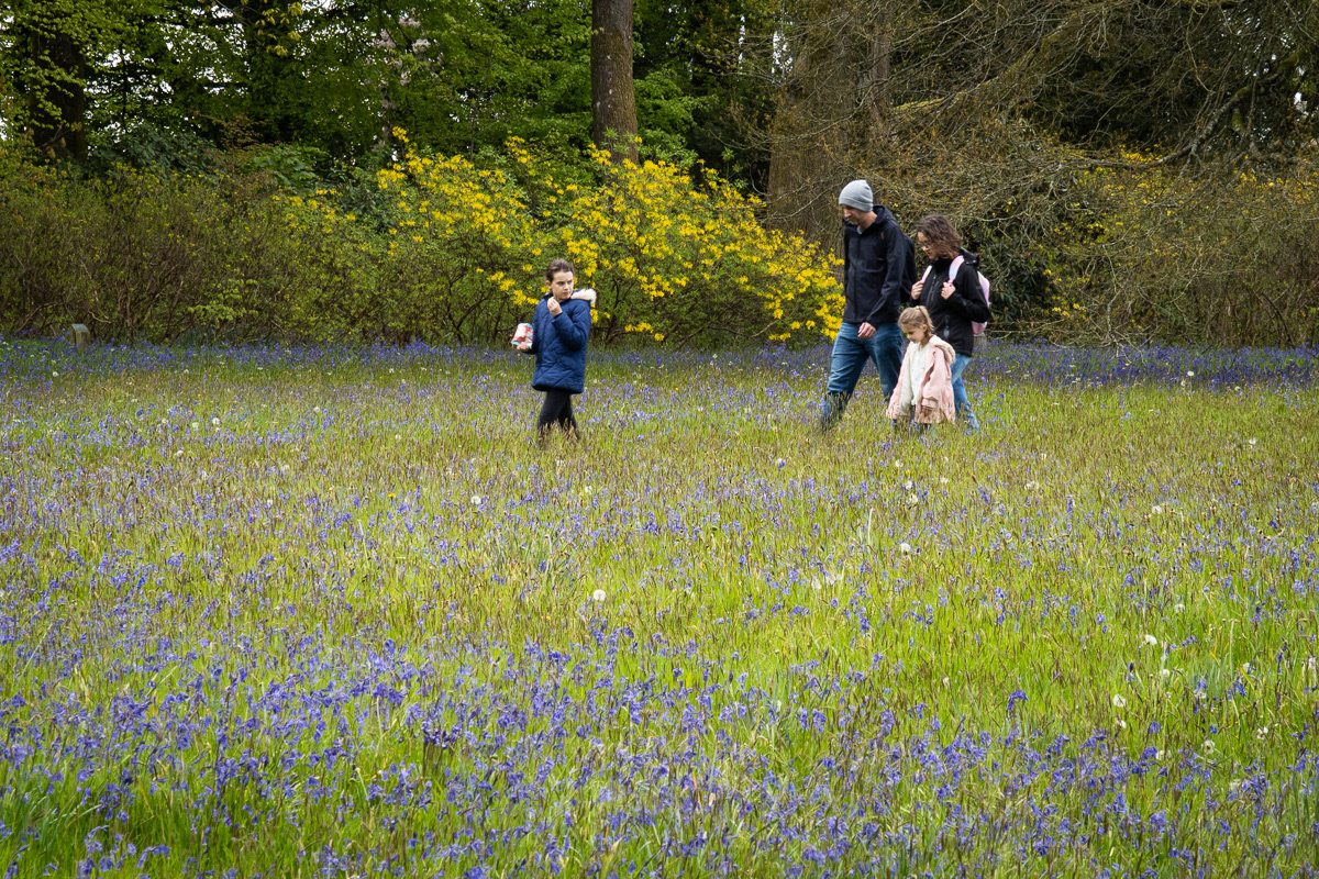 A Family Day Out, Stourhead, Wiltshire, UK