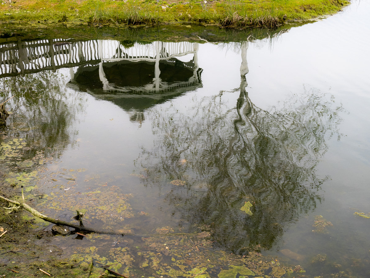 Cover Photo for 2021