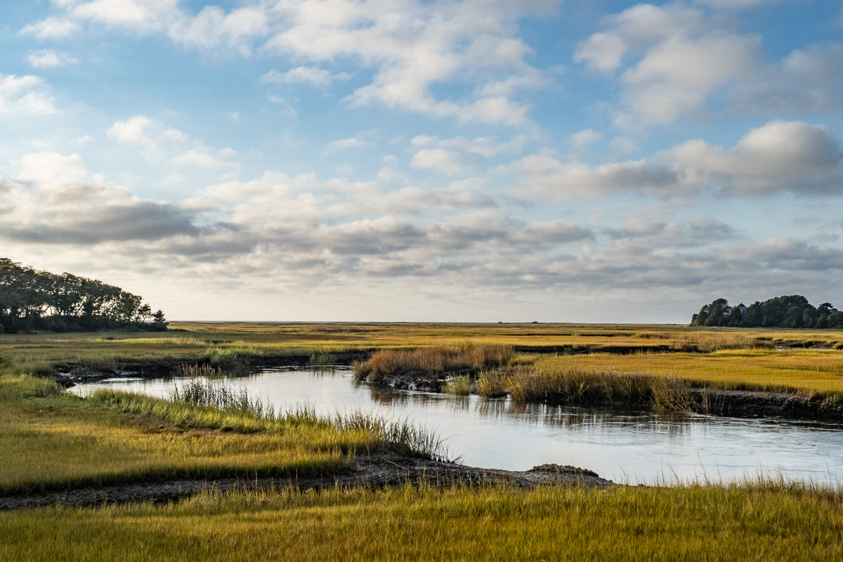Salt marshes at Eastham, Cape Cod