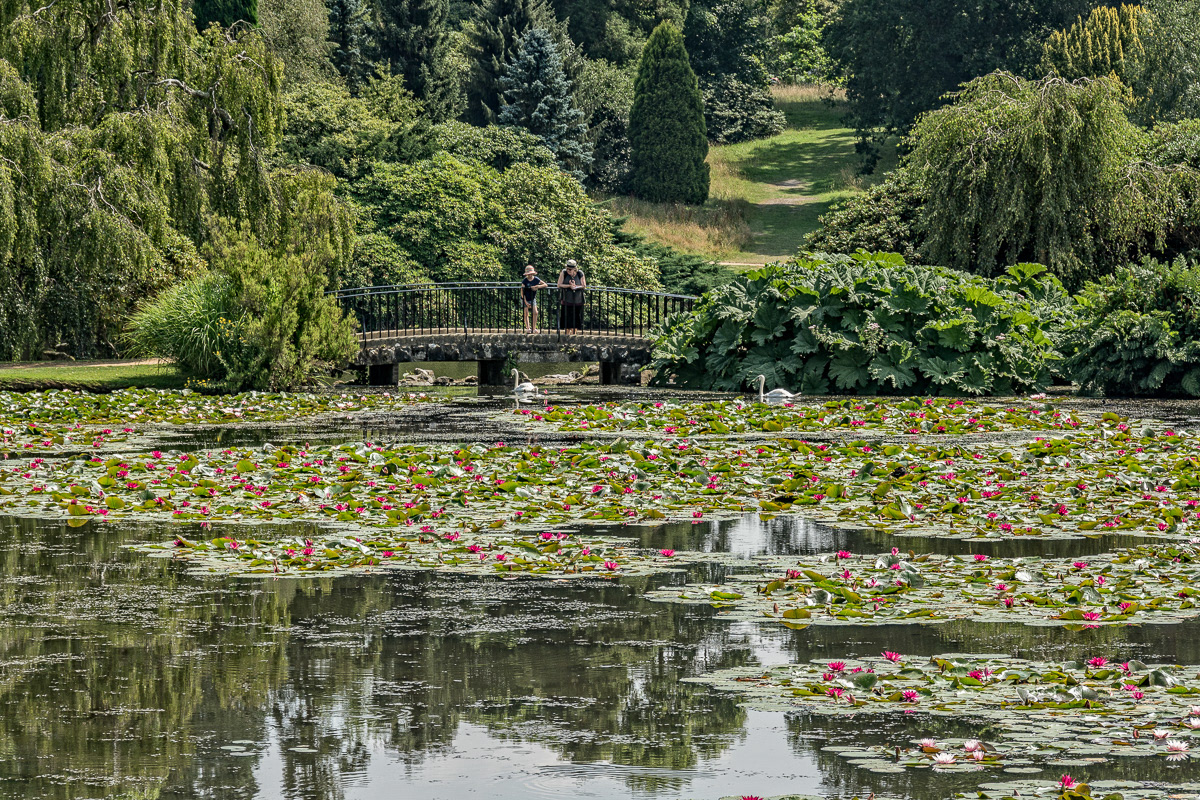 Sheffield Castle Garden