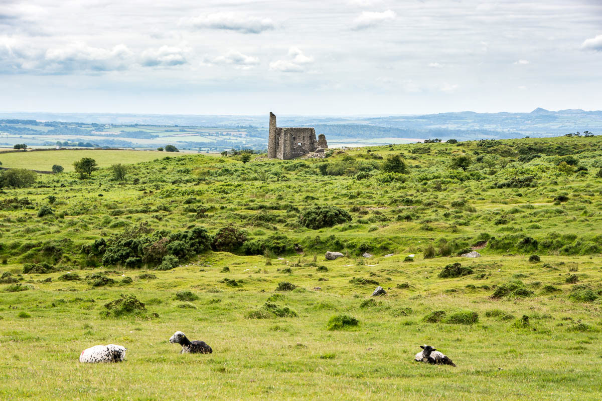 Bodmin Moor
