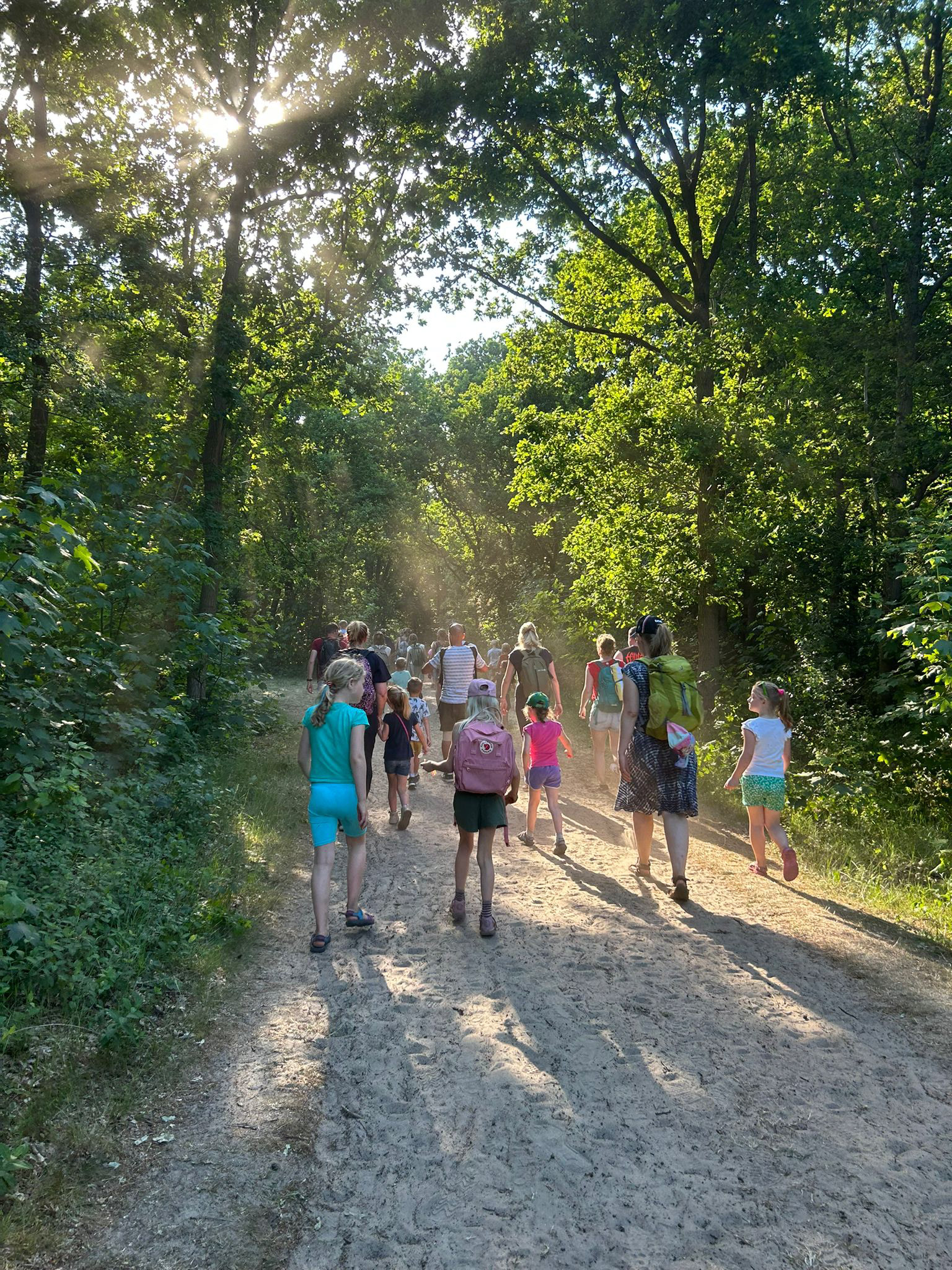 Wandel4daagse in Castricum