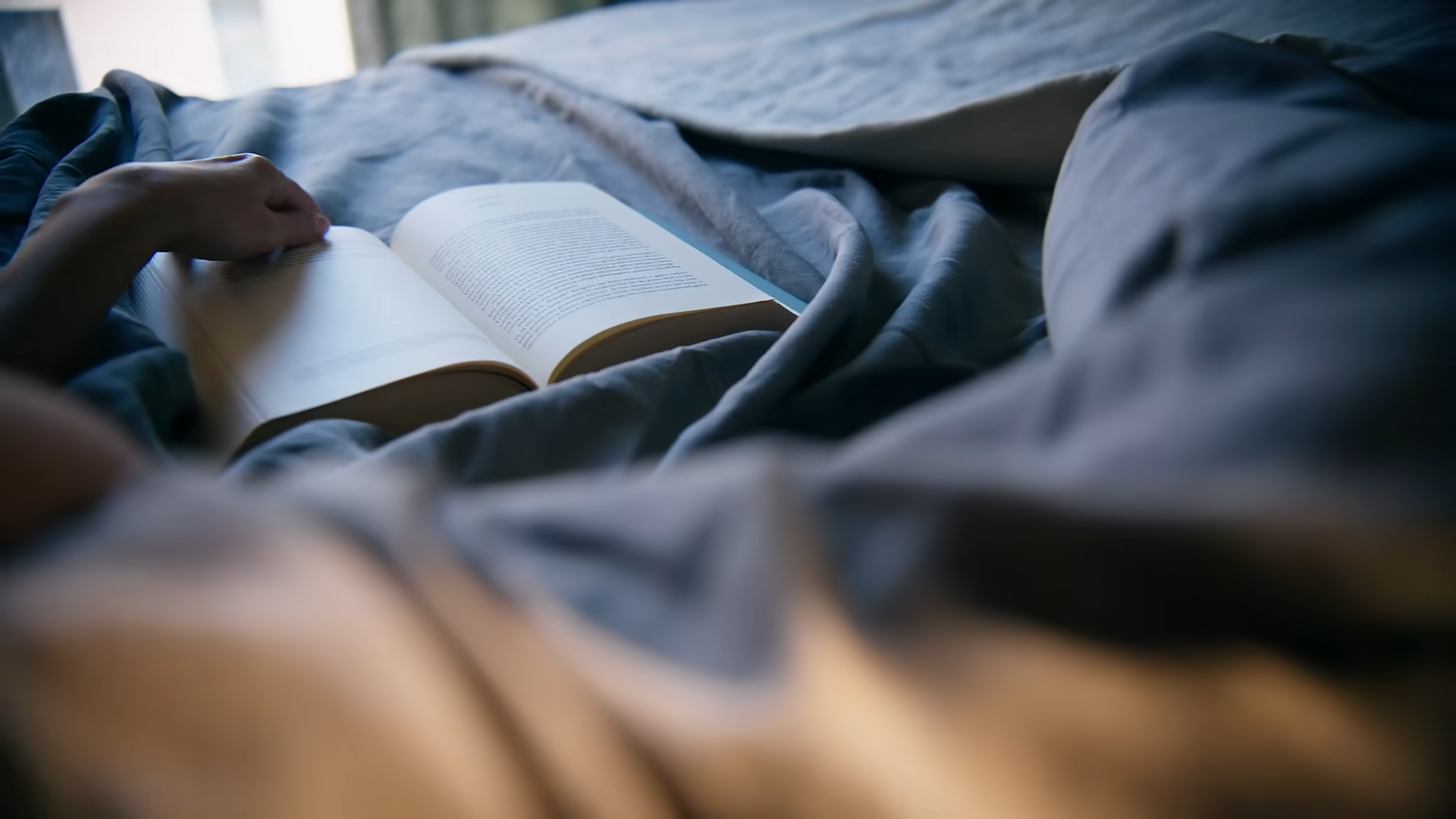 Medžio stilius – Kuo kvėpuoja tavo namai?