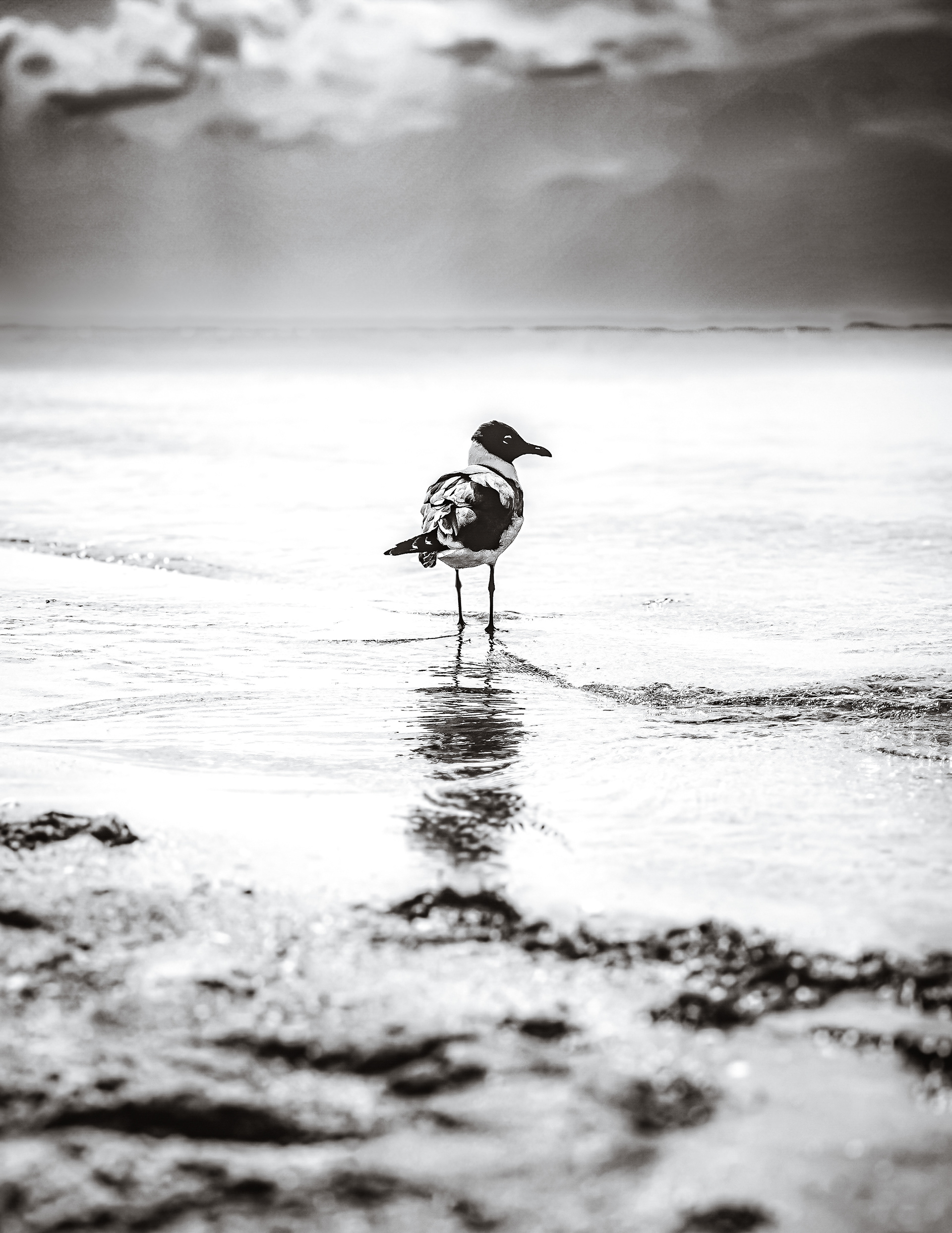 Quiet Company