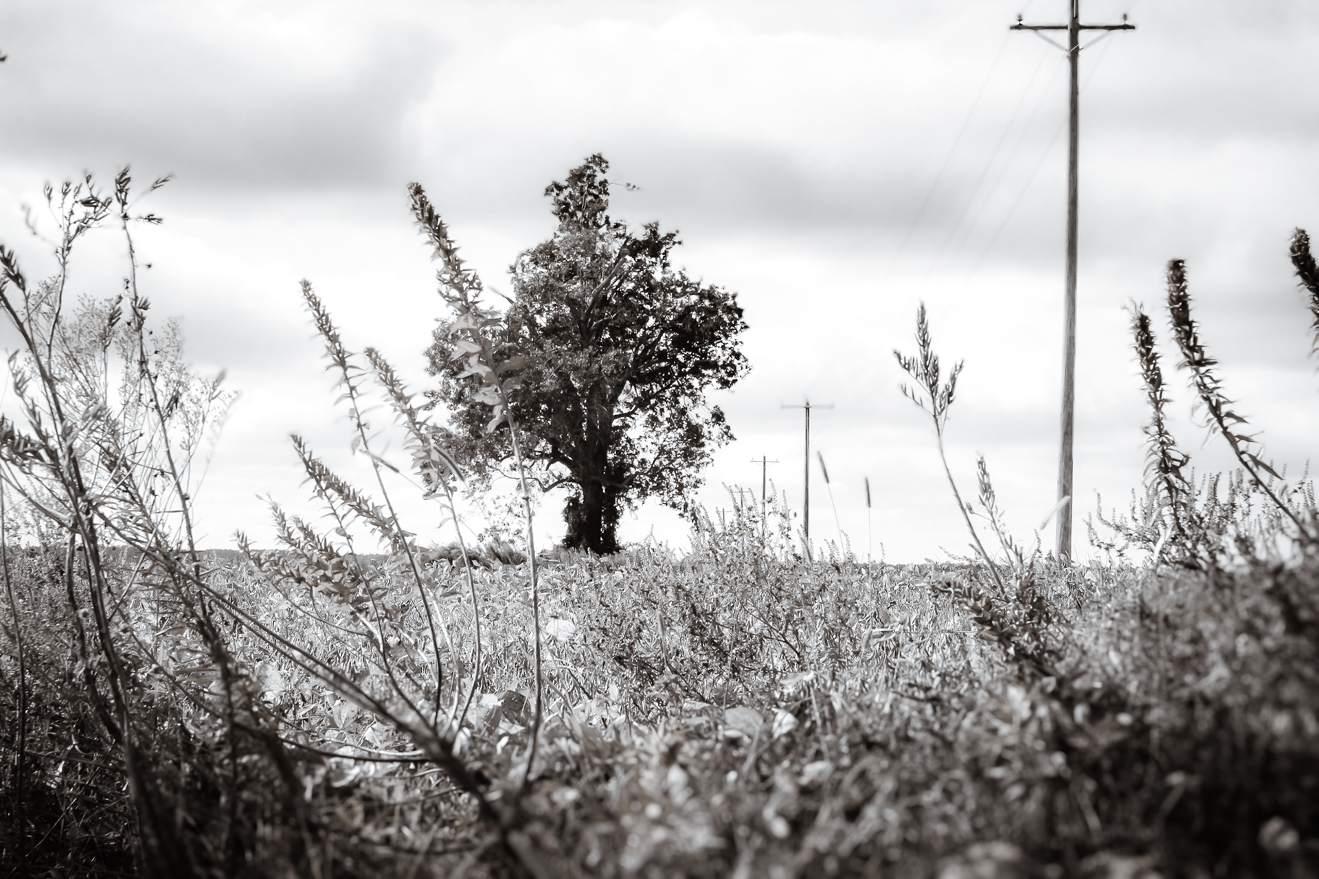 The Long Quiet