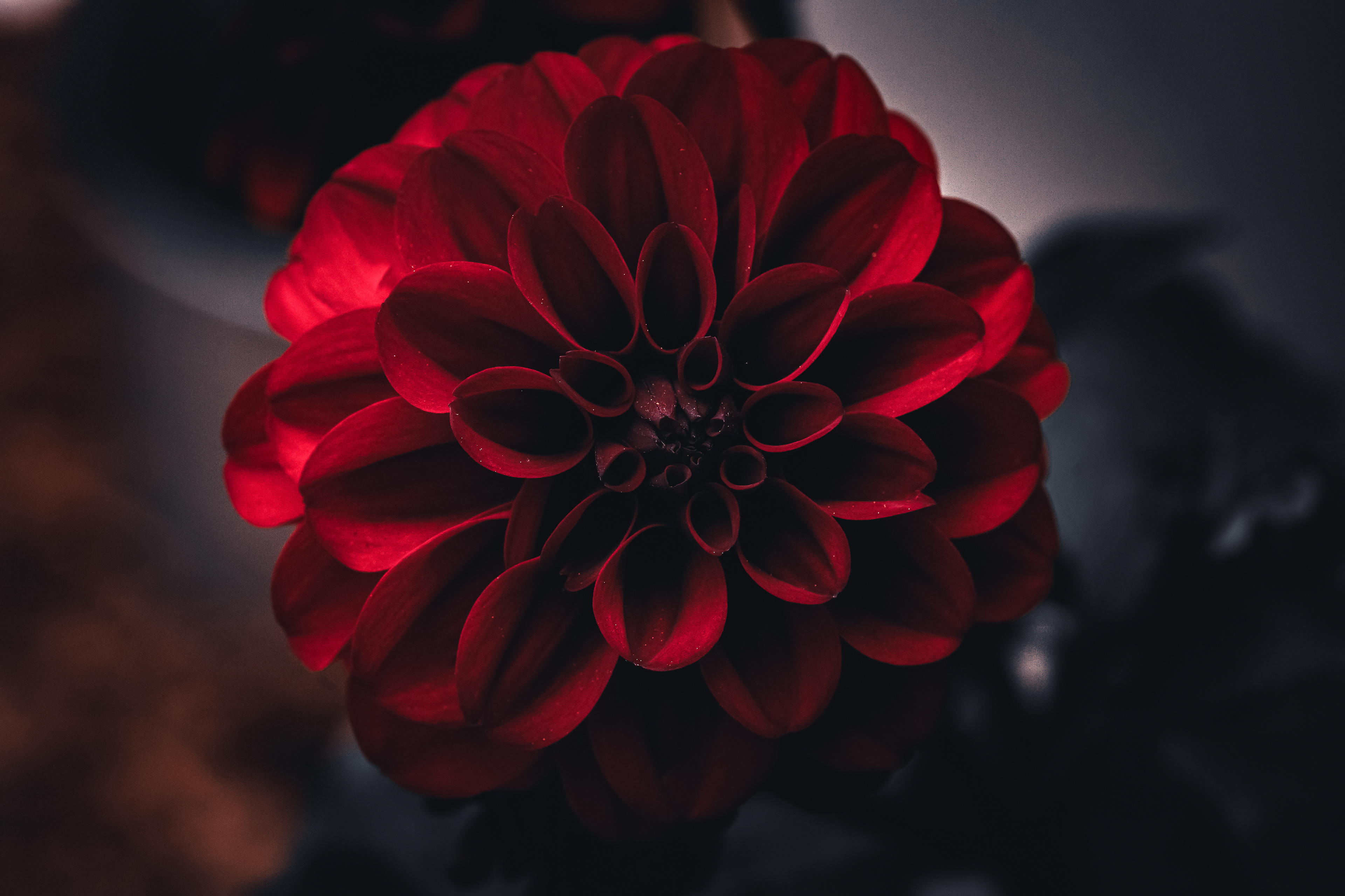 Velvet Silence