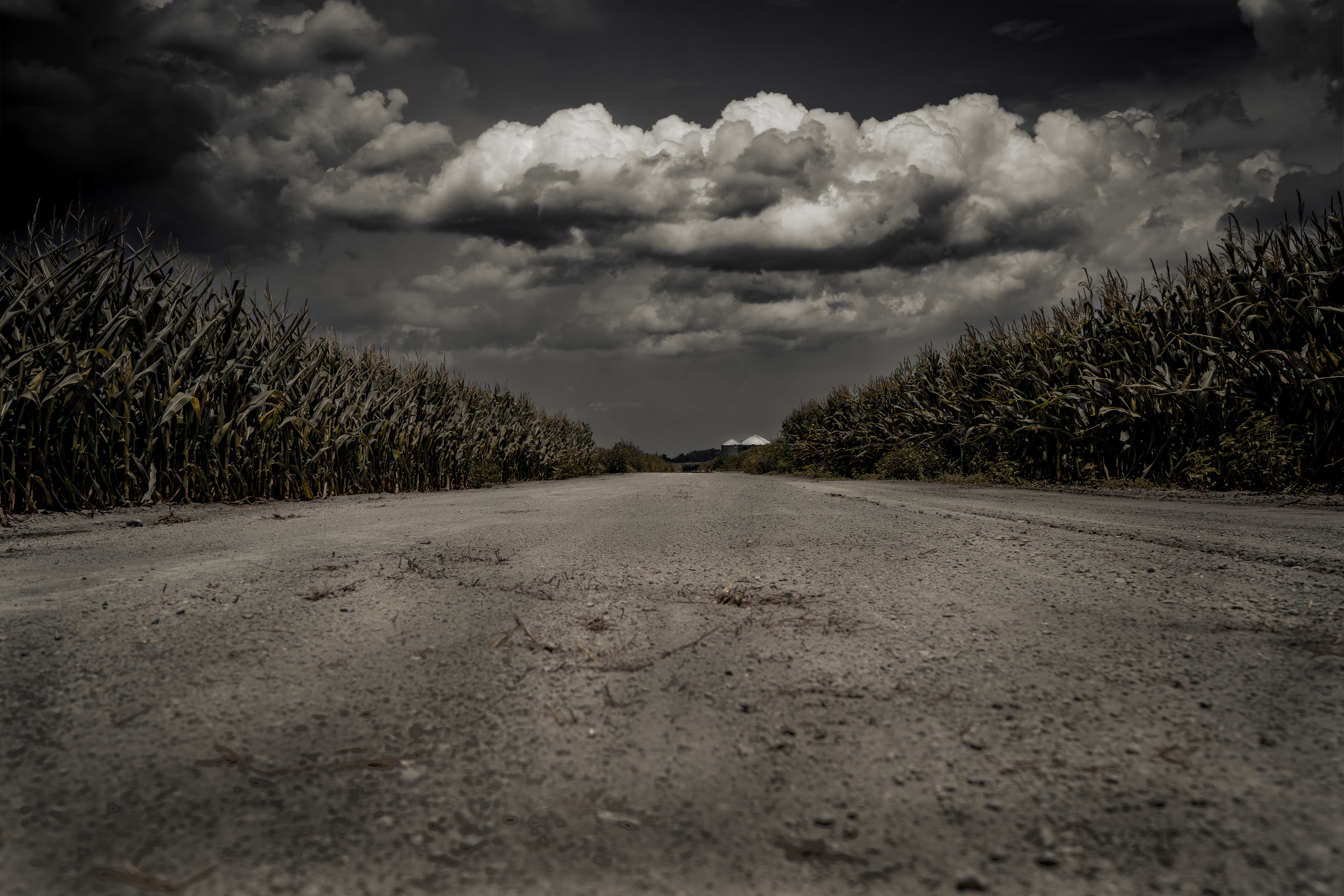The Road Between