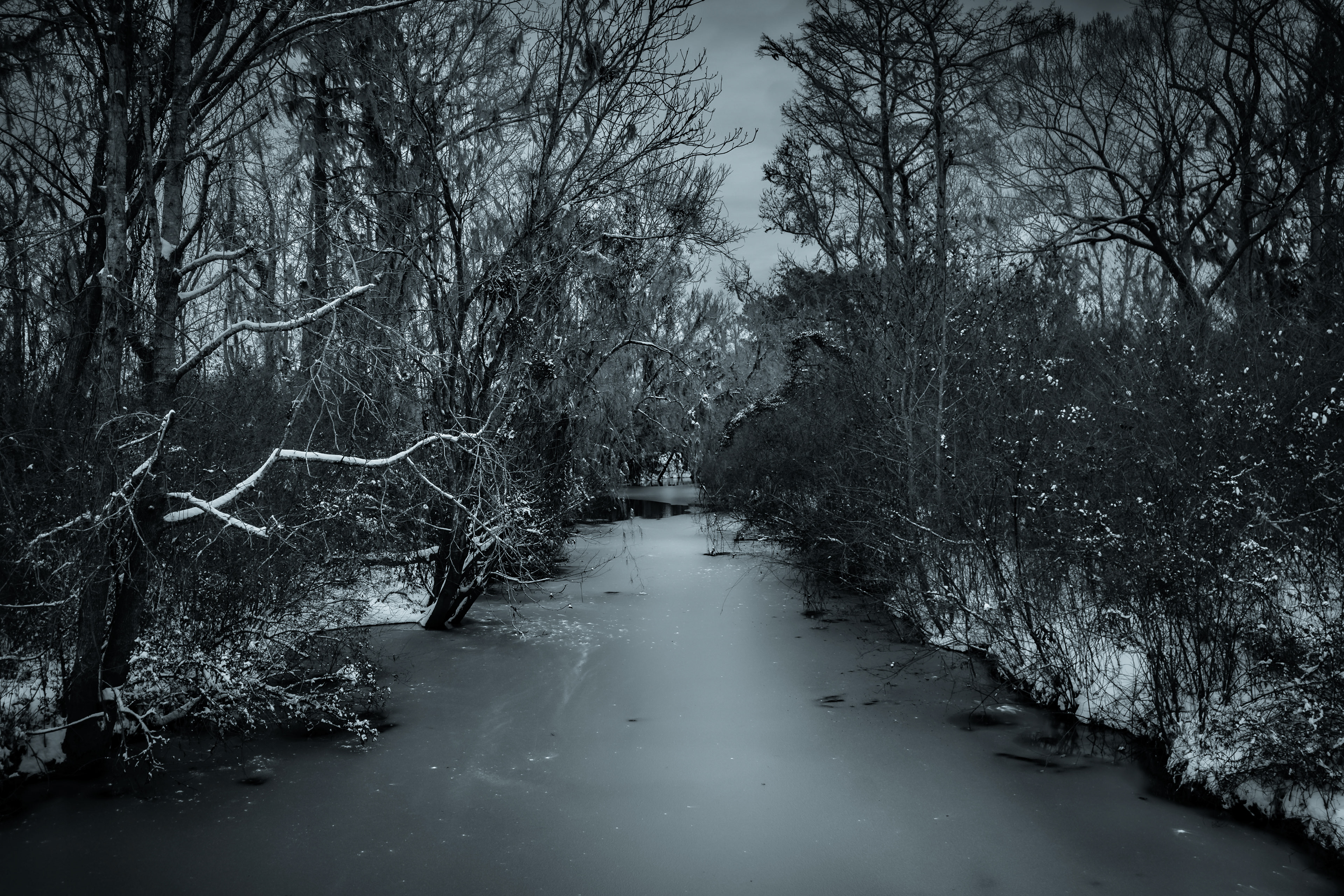 Frozen Veins of the Wild