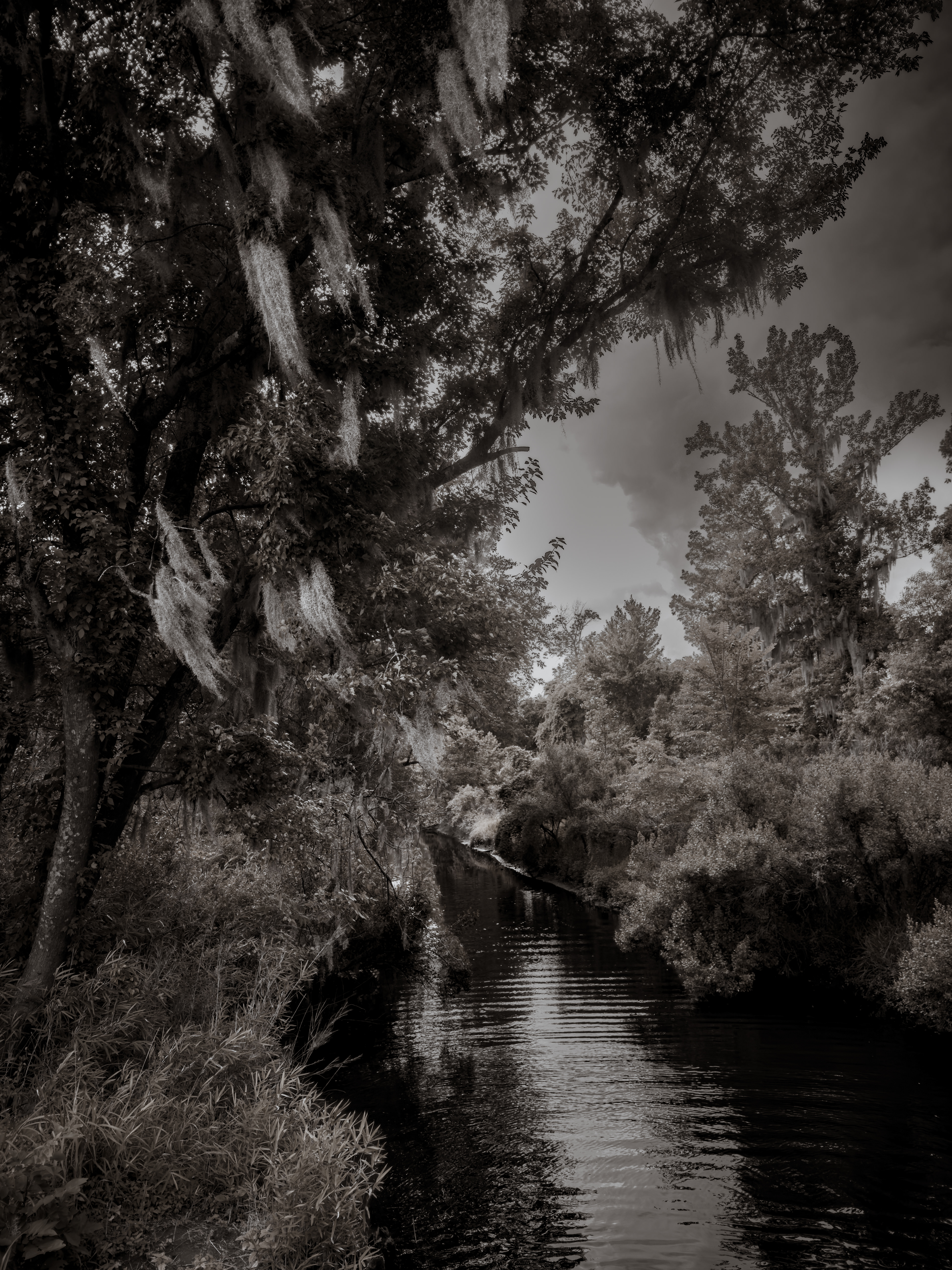The Hanging Veil