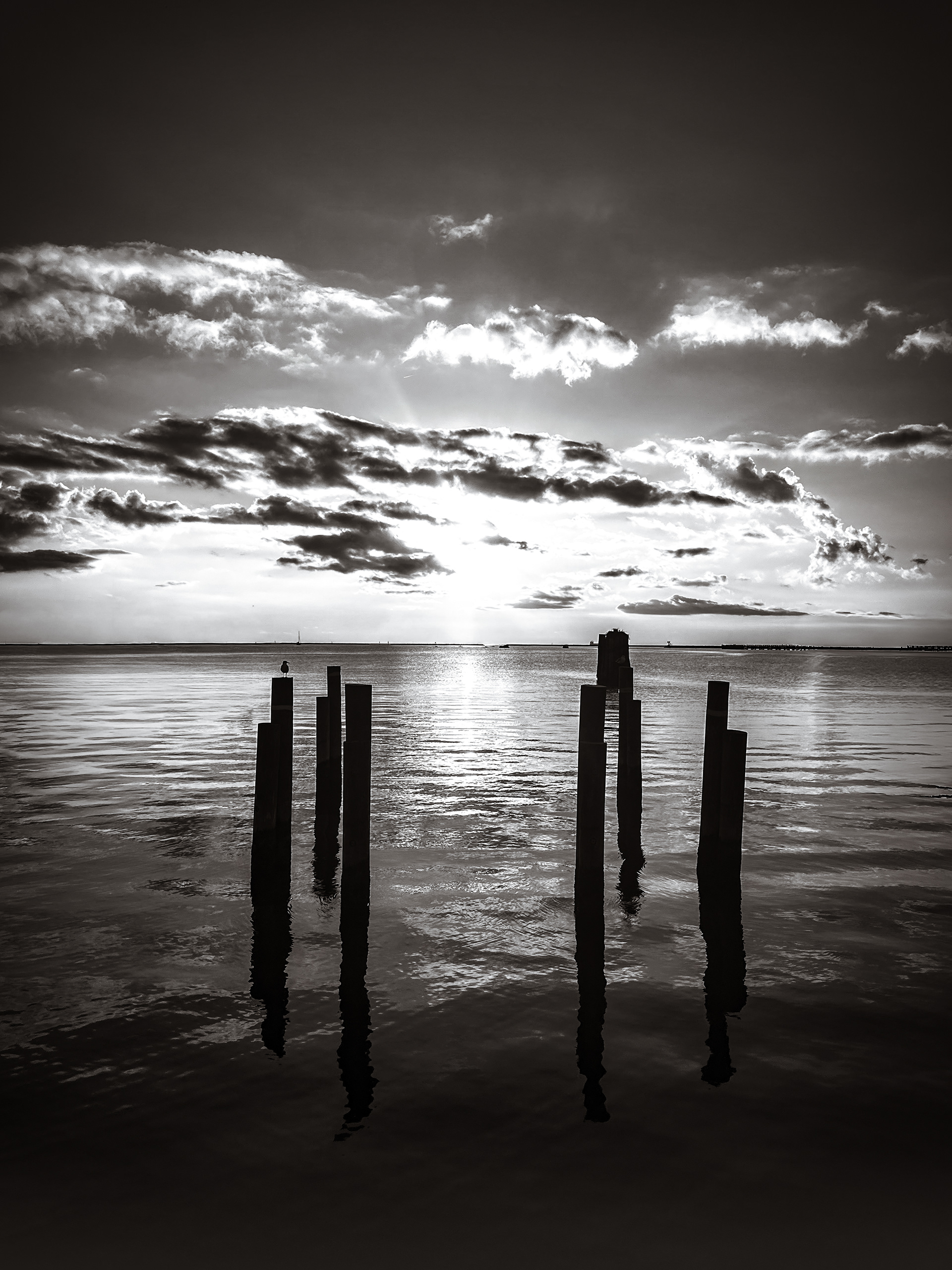 Waterline