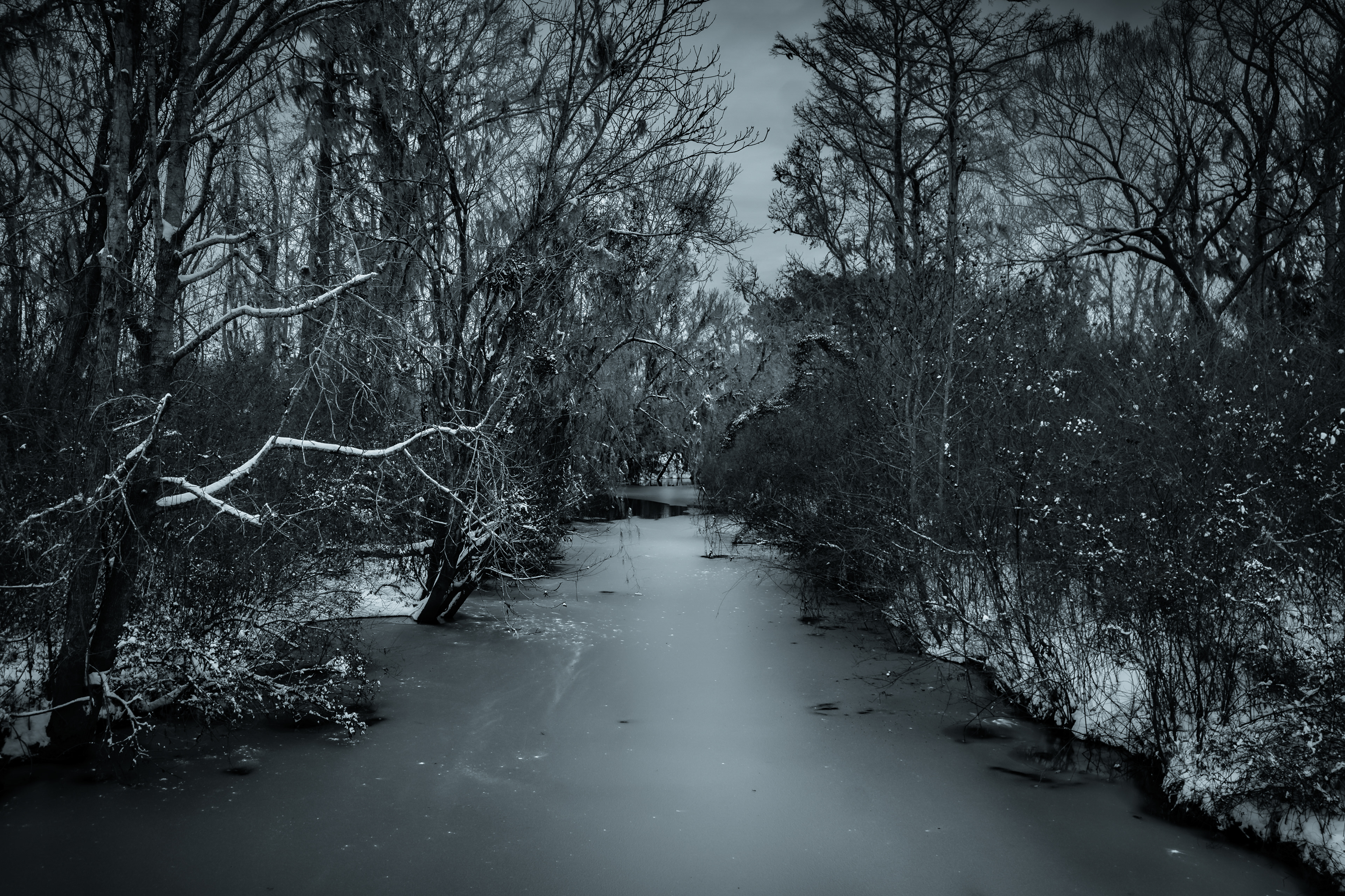 Frozen Veins of the Wild