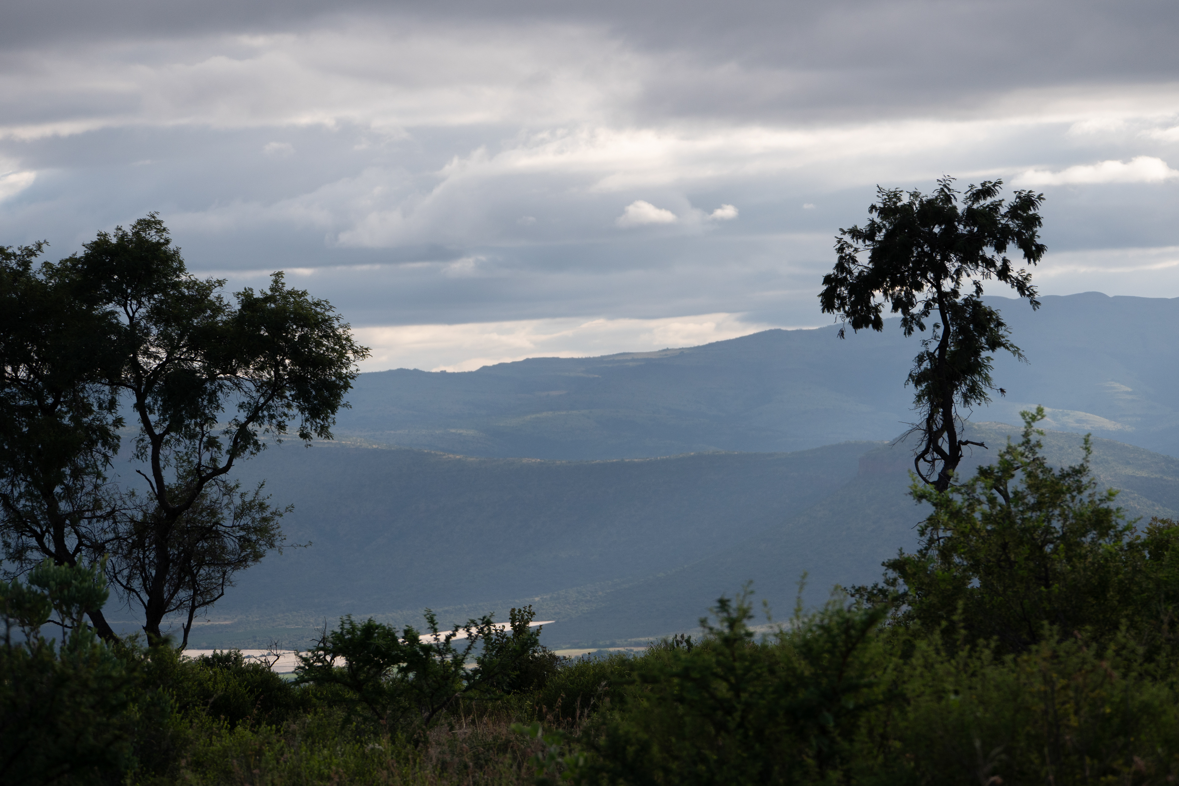 Krugerpark