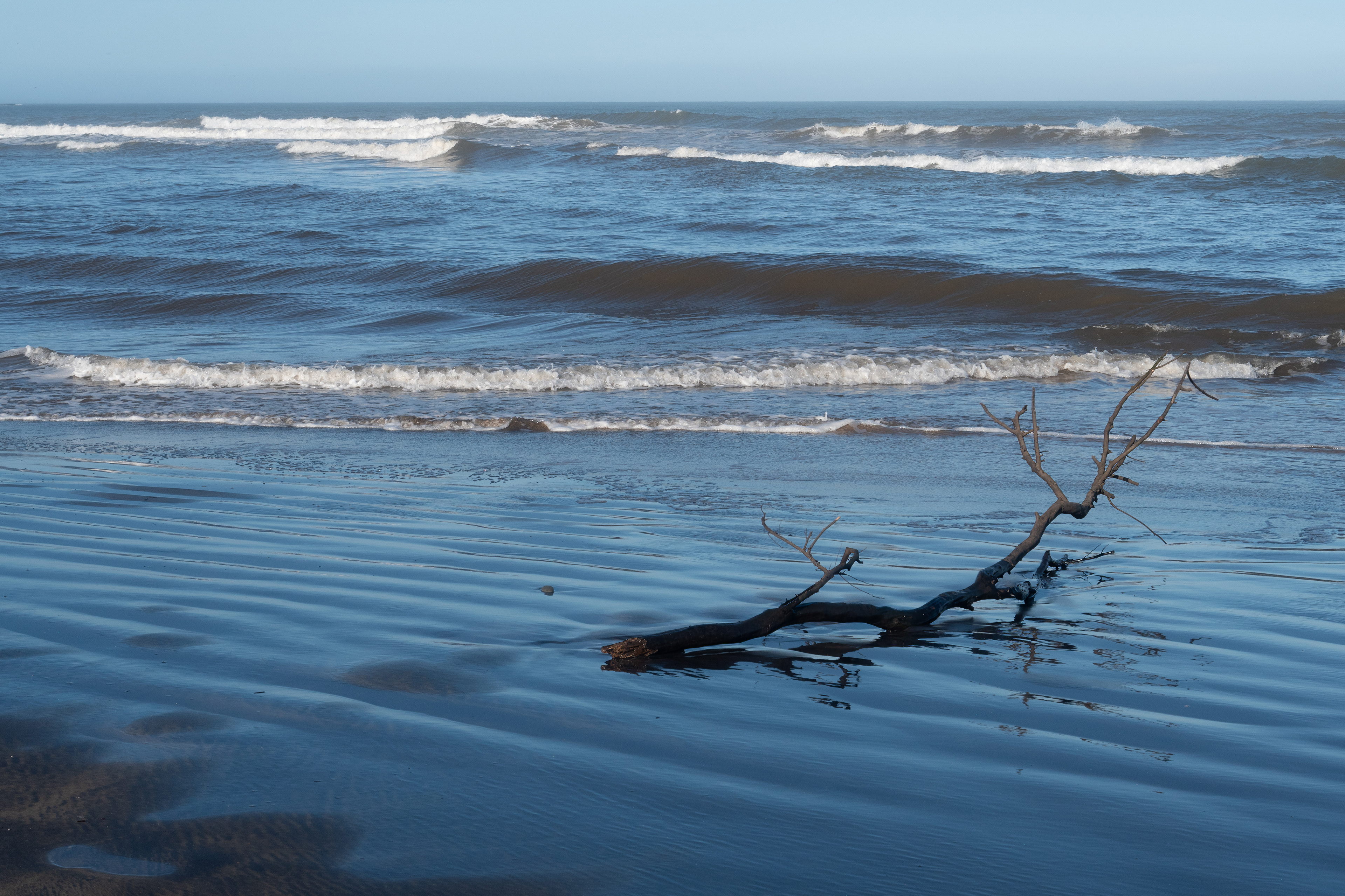 Wild Coast