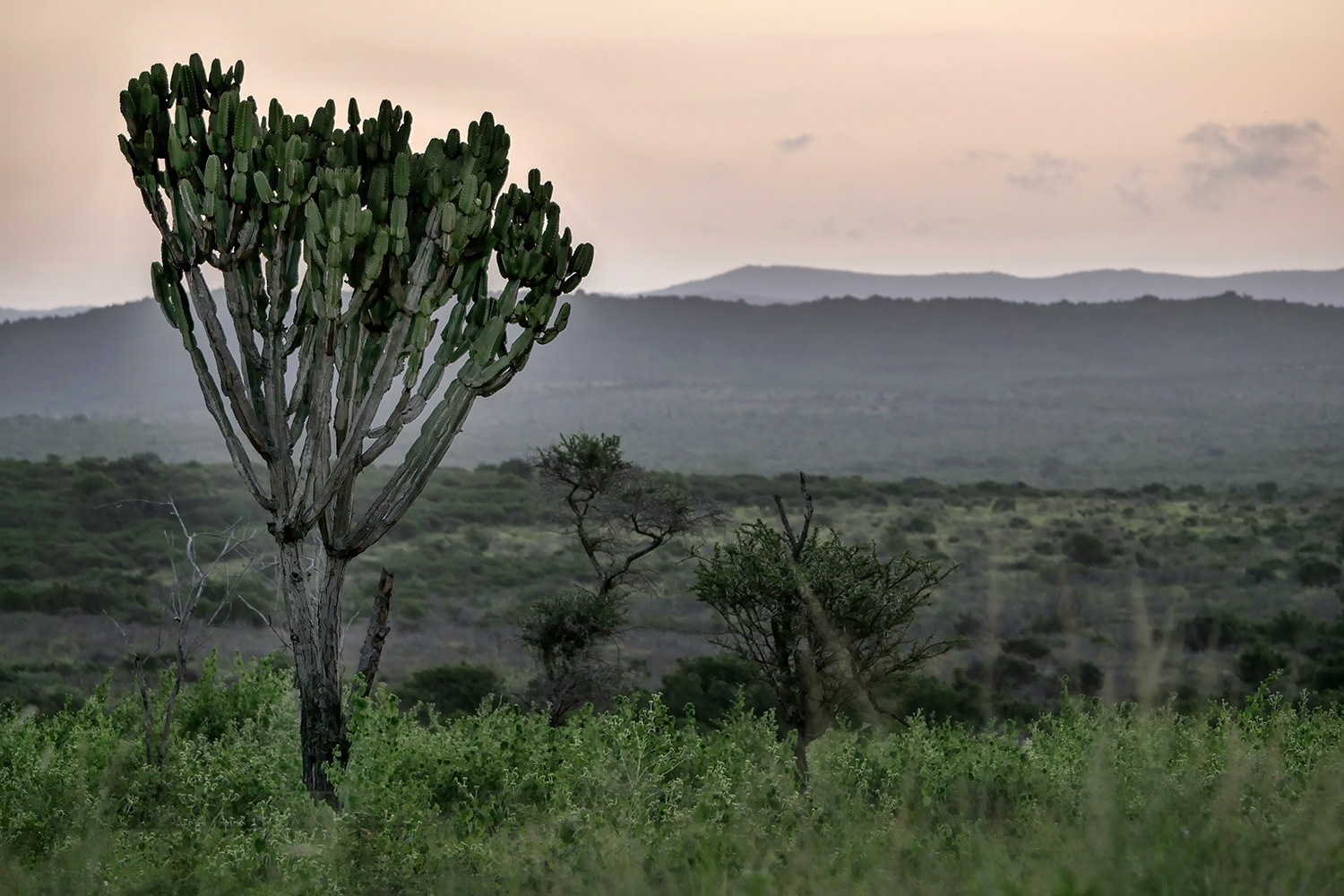 Krugerpark