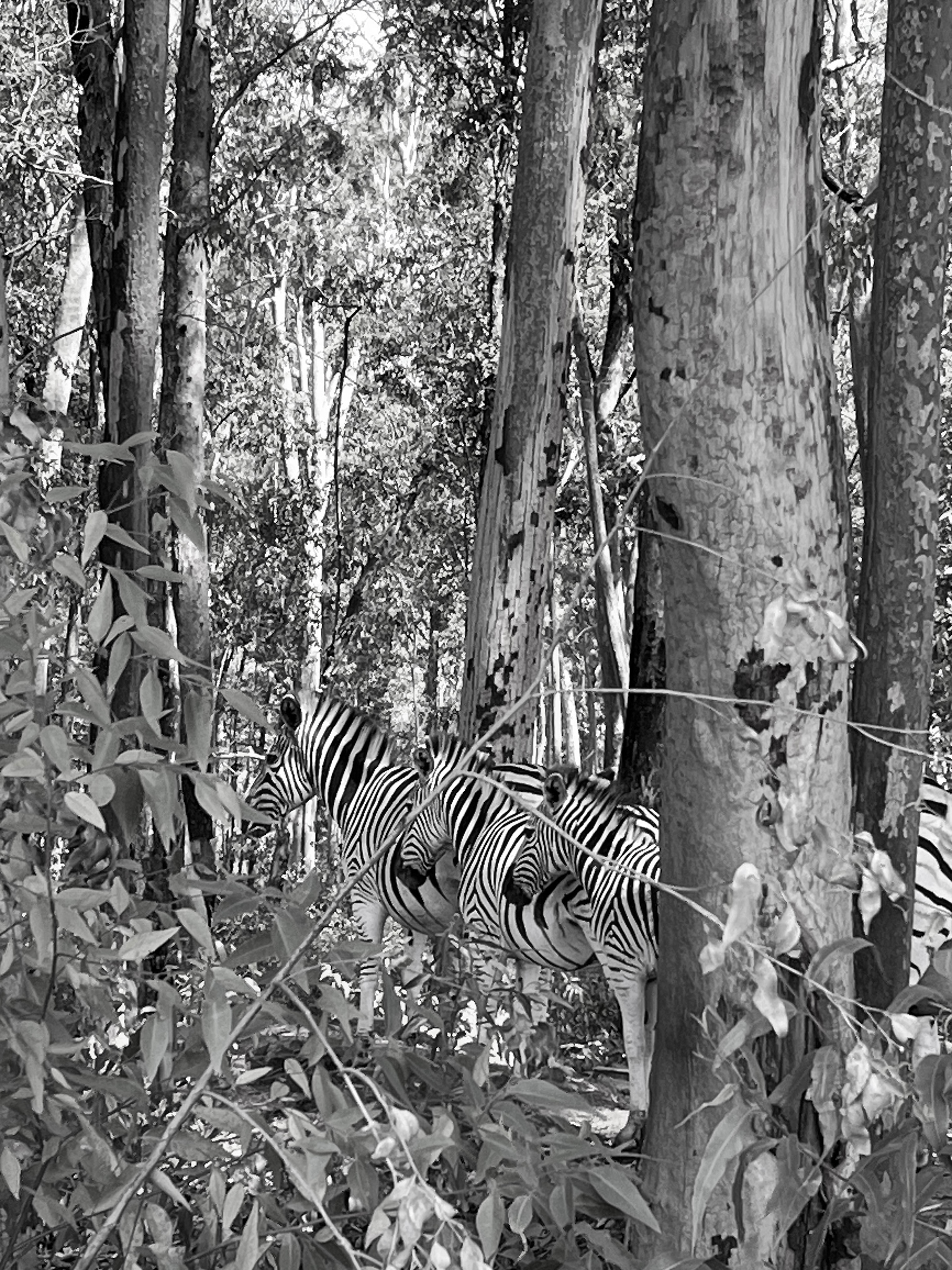 Een foto van mij zit in de winners selctie van de Black and White Spider awards, je herkent hem vast wel: 