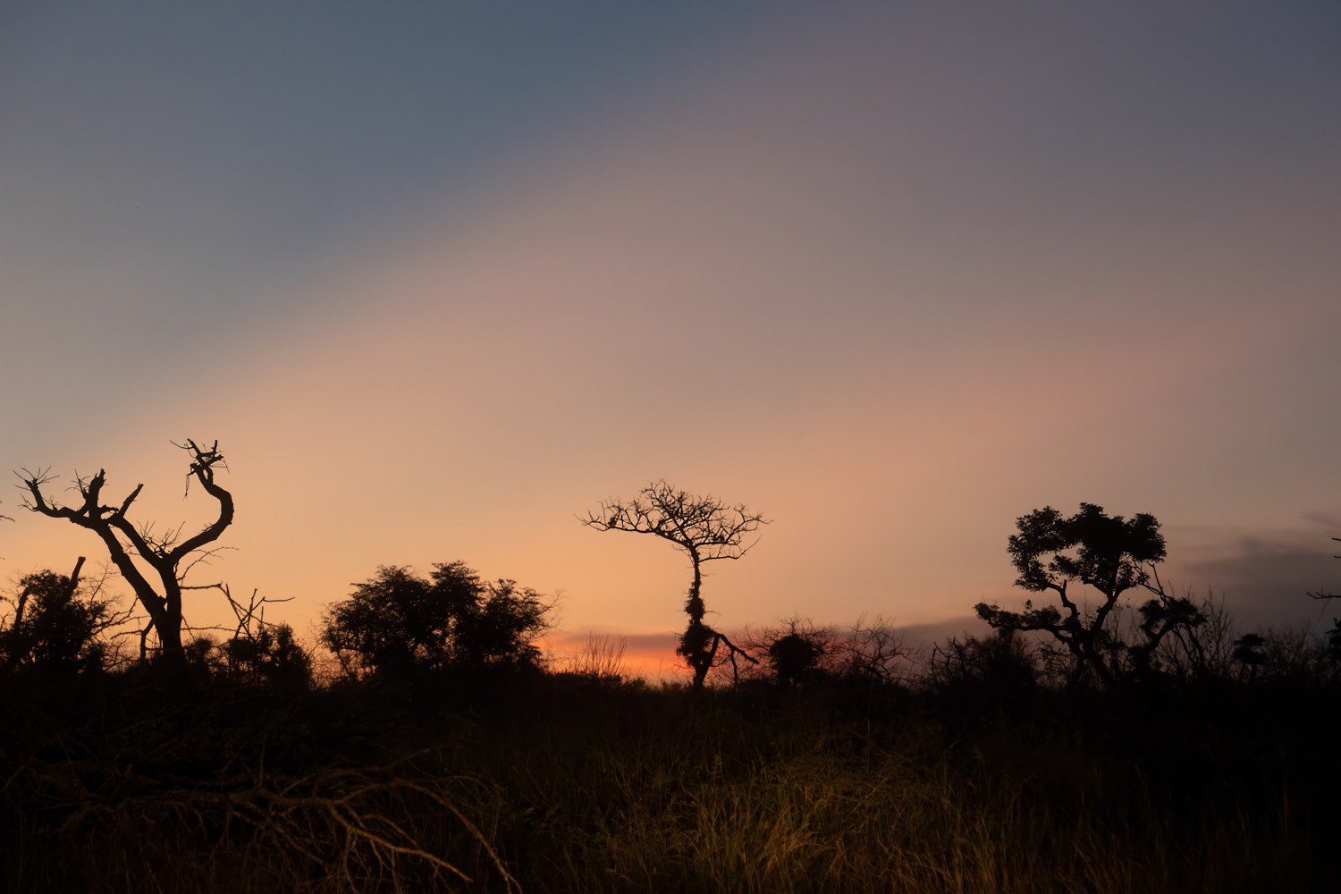 Krugerpark