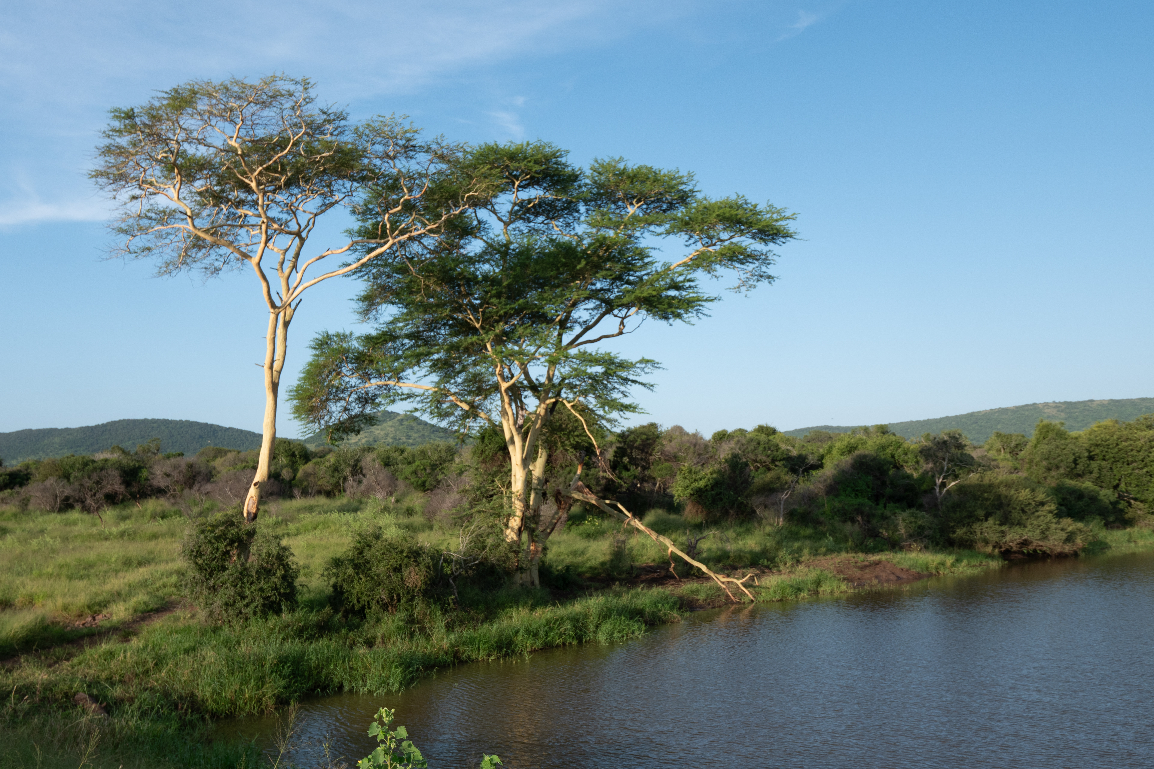 Krugerpark