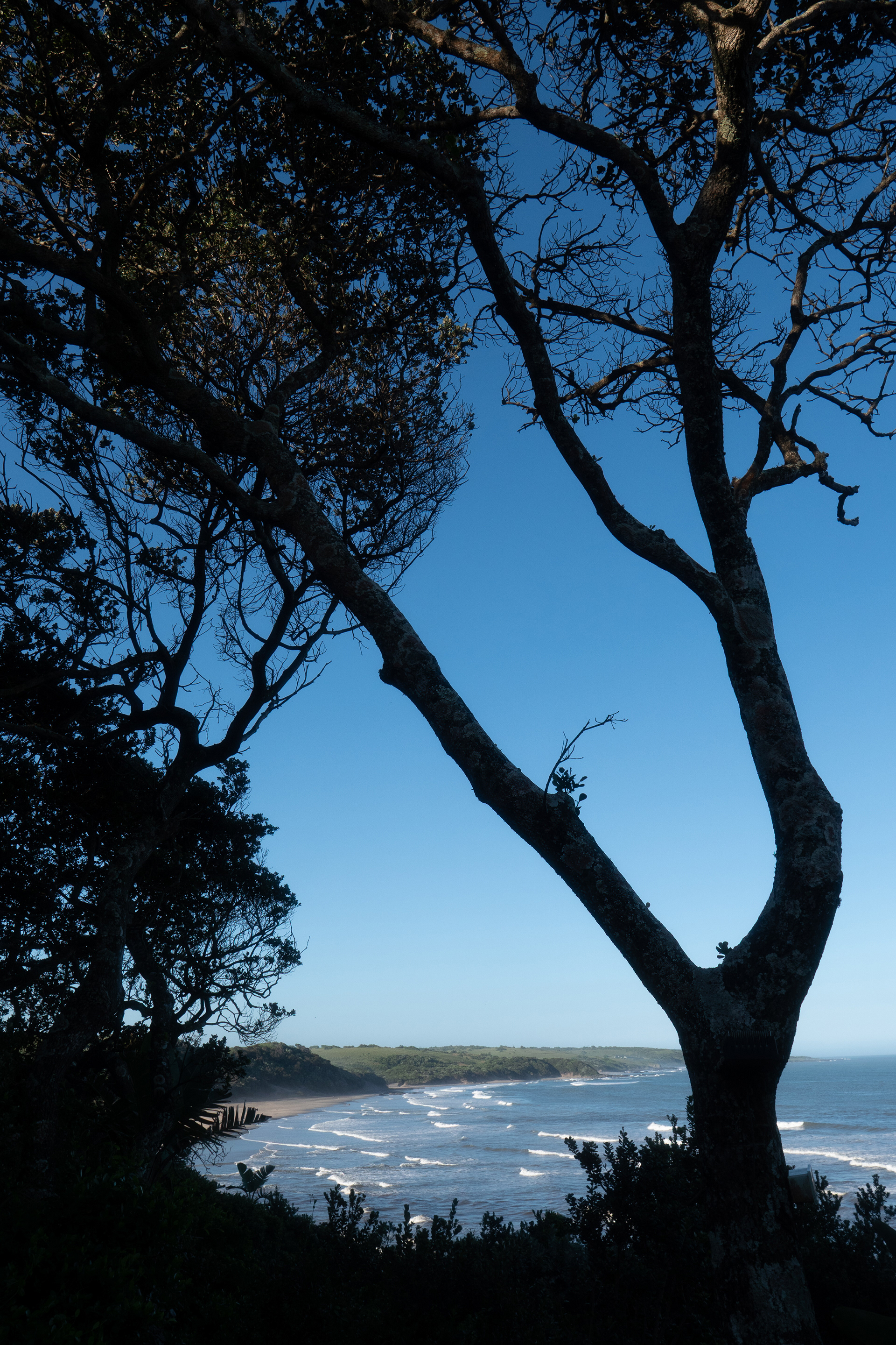 Wild Coast