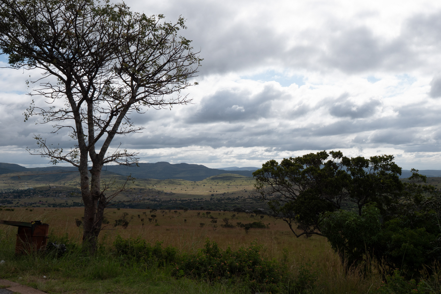 Krugerpark