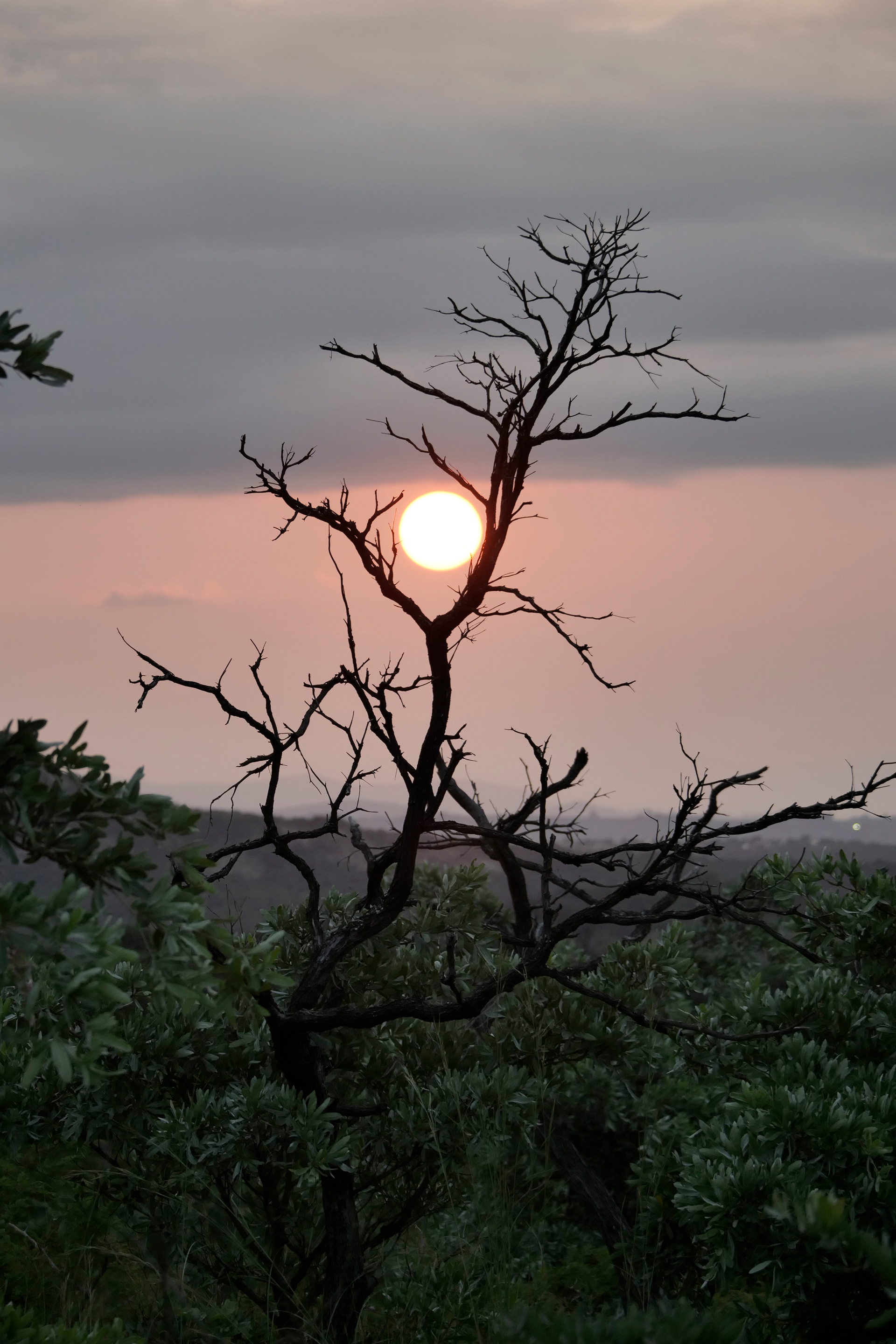 Krugerpark