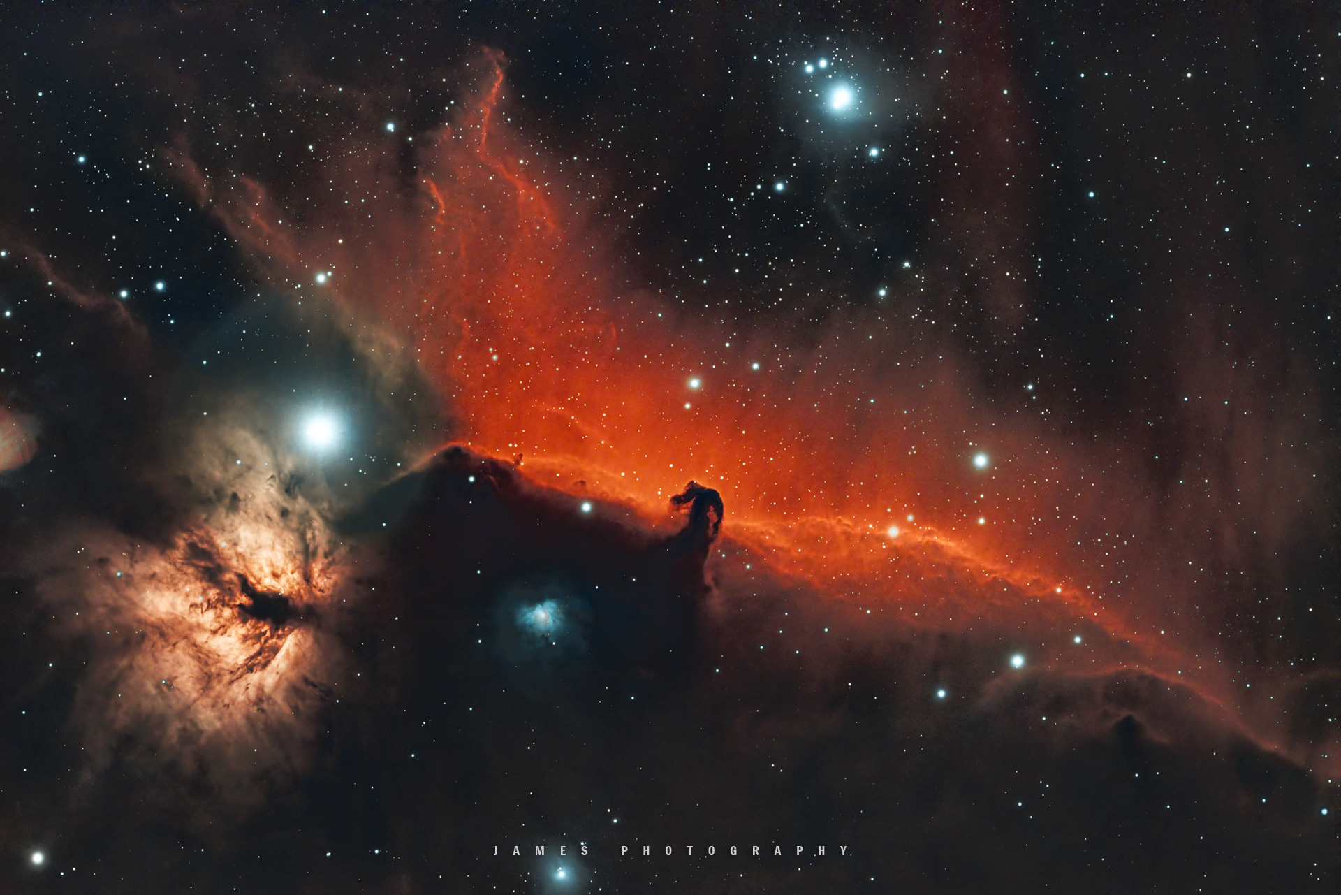 Horsehead and Flame Nebula