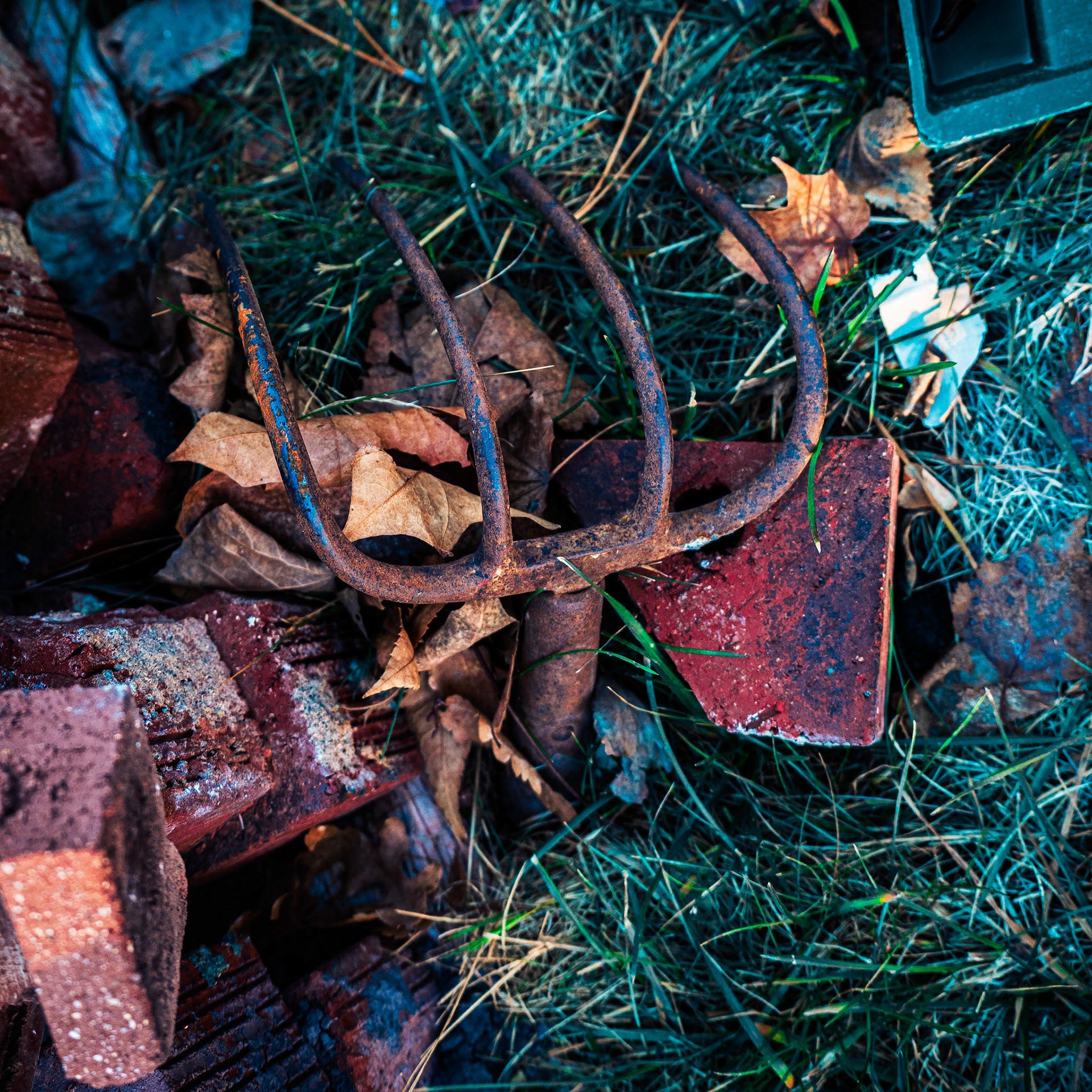 I found this near a pile of bricks. You can find all sorts of interesting stuff on the site of a stalled remodel.