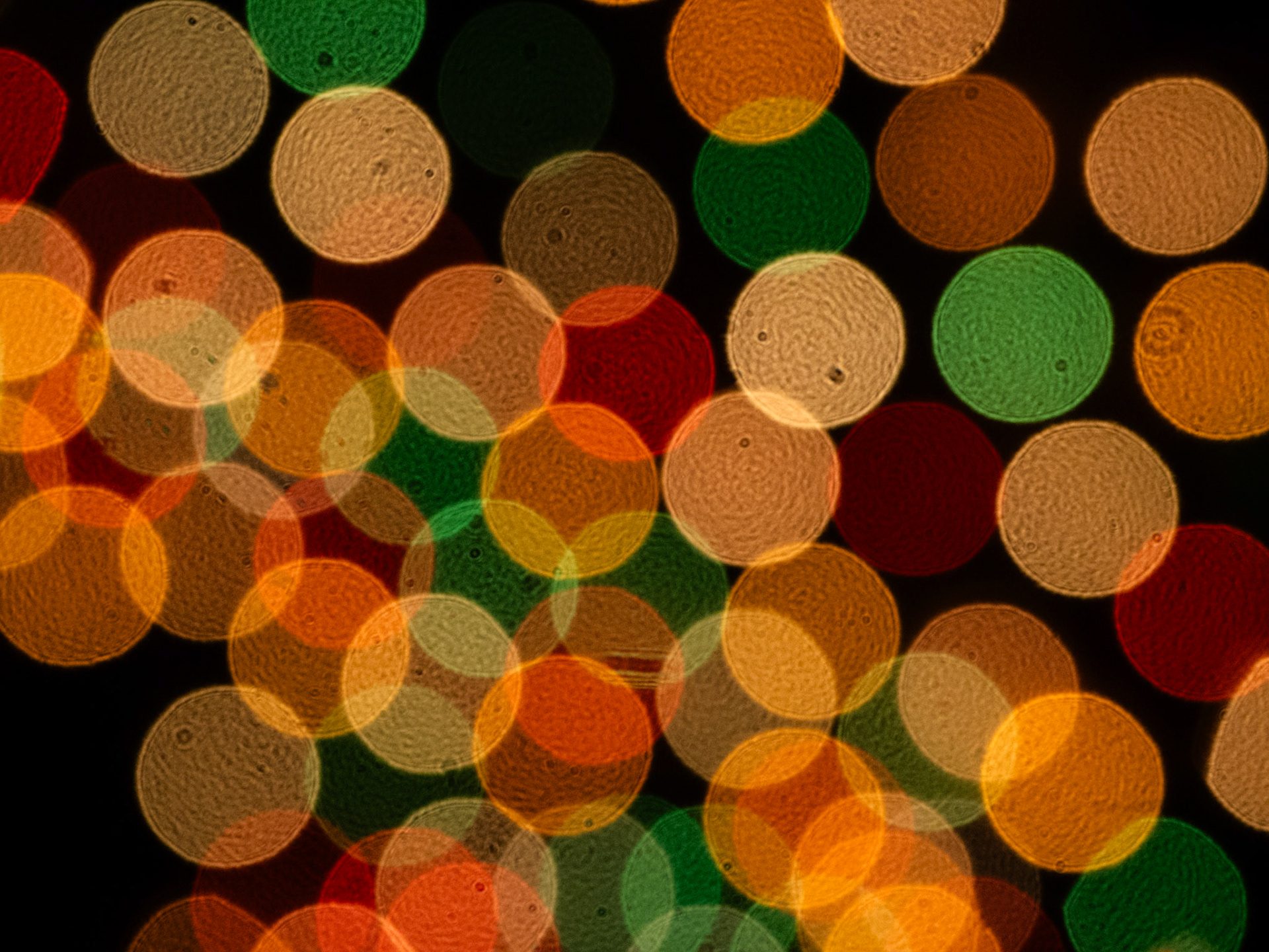 Some out of focus Christmas lights, some with sunspots. Or dust on the lens.