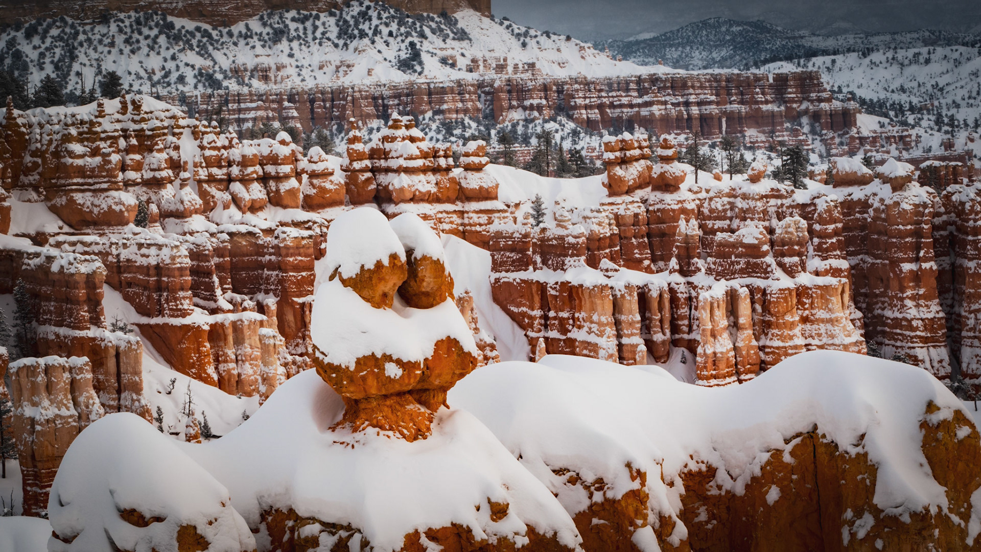 This pair of hoodoos are cuddling to keep warm.
