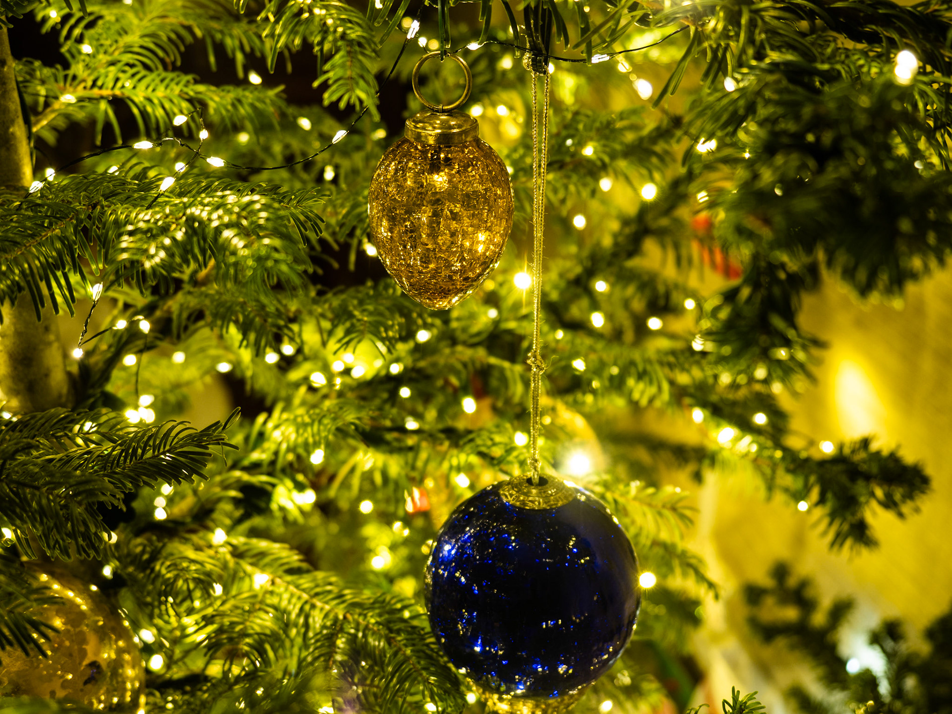 Here are some ornaments from our Christmas tree. It's starting to feel a little like Christmas around the house.