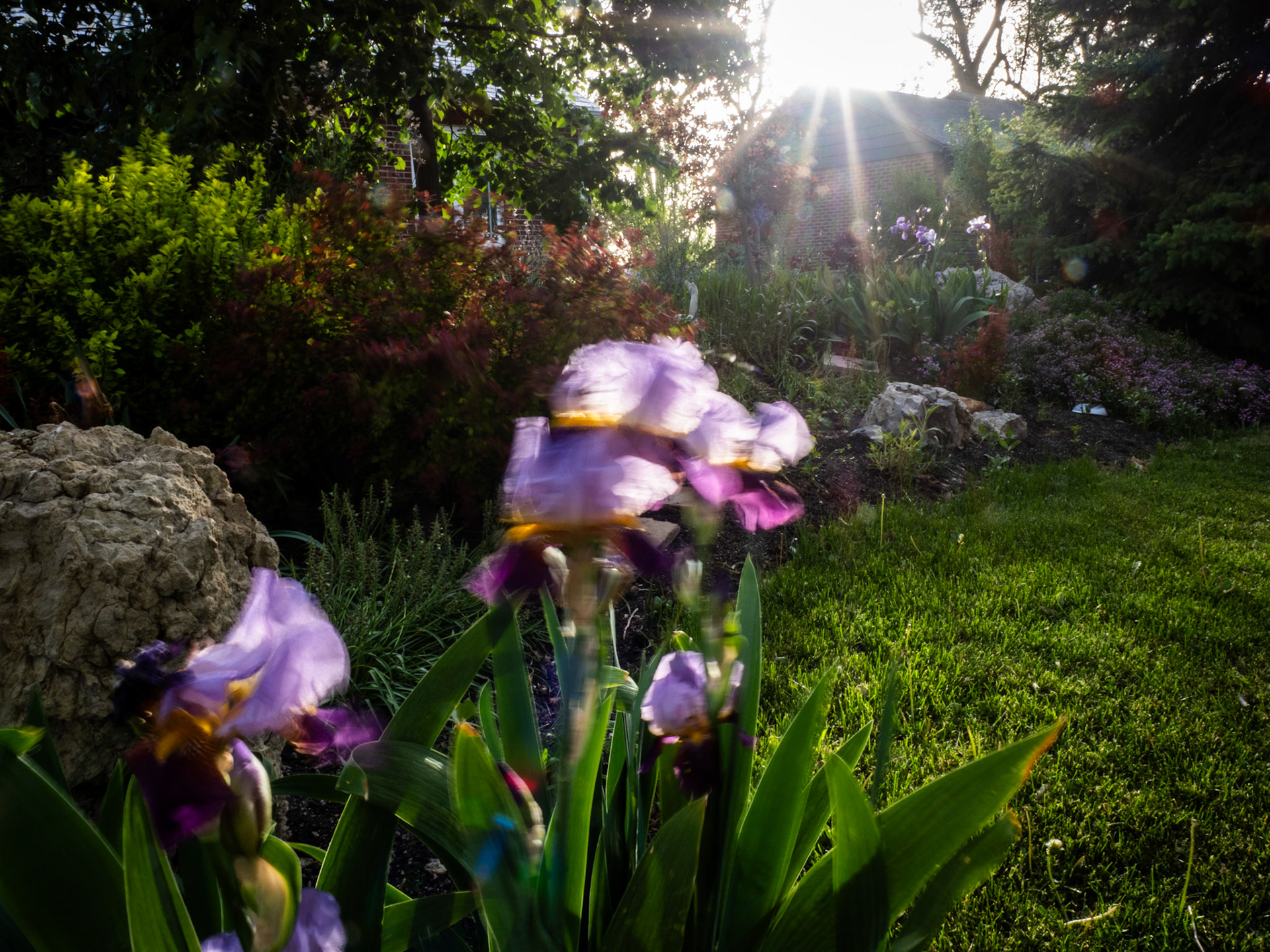 I set out this evening intent on capturing a picture showing it is windy. I did. I also captured a picture showing I need to clean my lens.