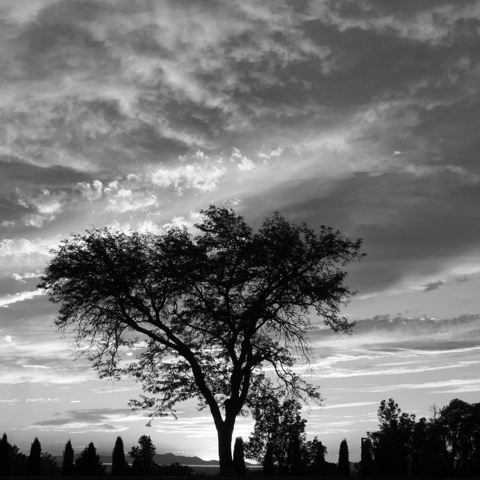 I thought some black and white would be a little more dramatic tonight.