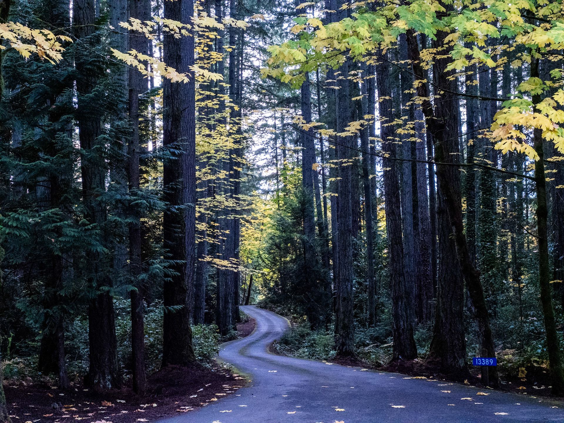 This is picture number 314 of my 365 project, hence, another Pi Day. It seems like sunset comes in the middle of the afternoon in the Pacific Northwest these days. I missed daylight today. So here's one that I captured a couple days ago on a walkabout.