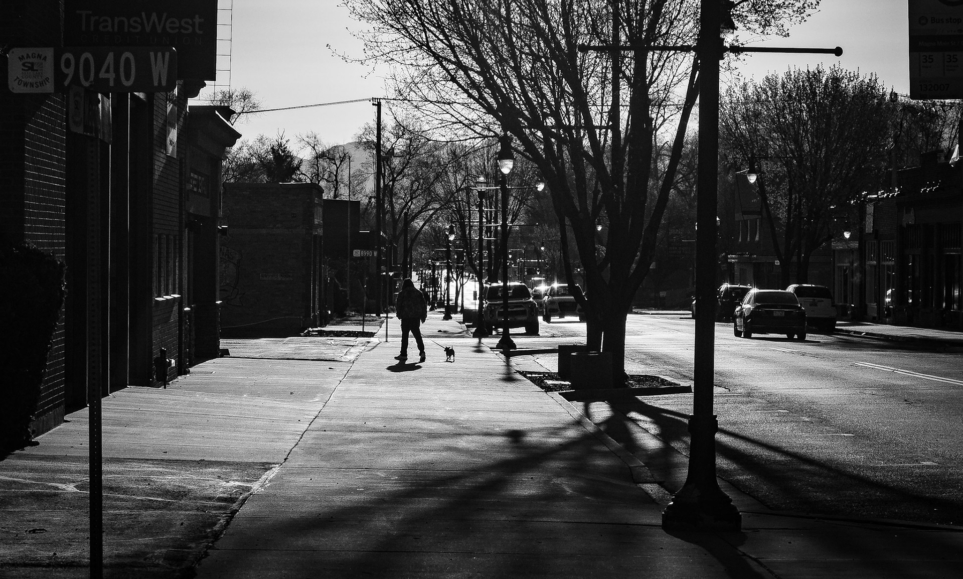 I am sure this is one of this dog's favorite times of the day. Taking his human for a walk.