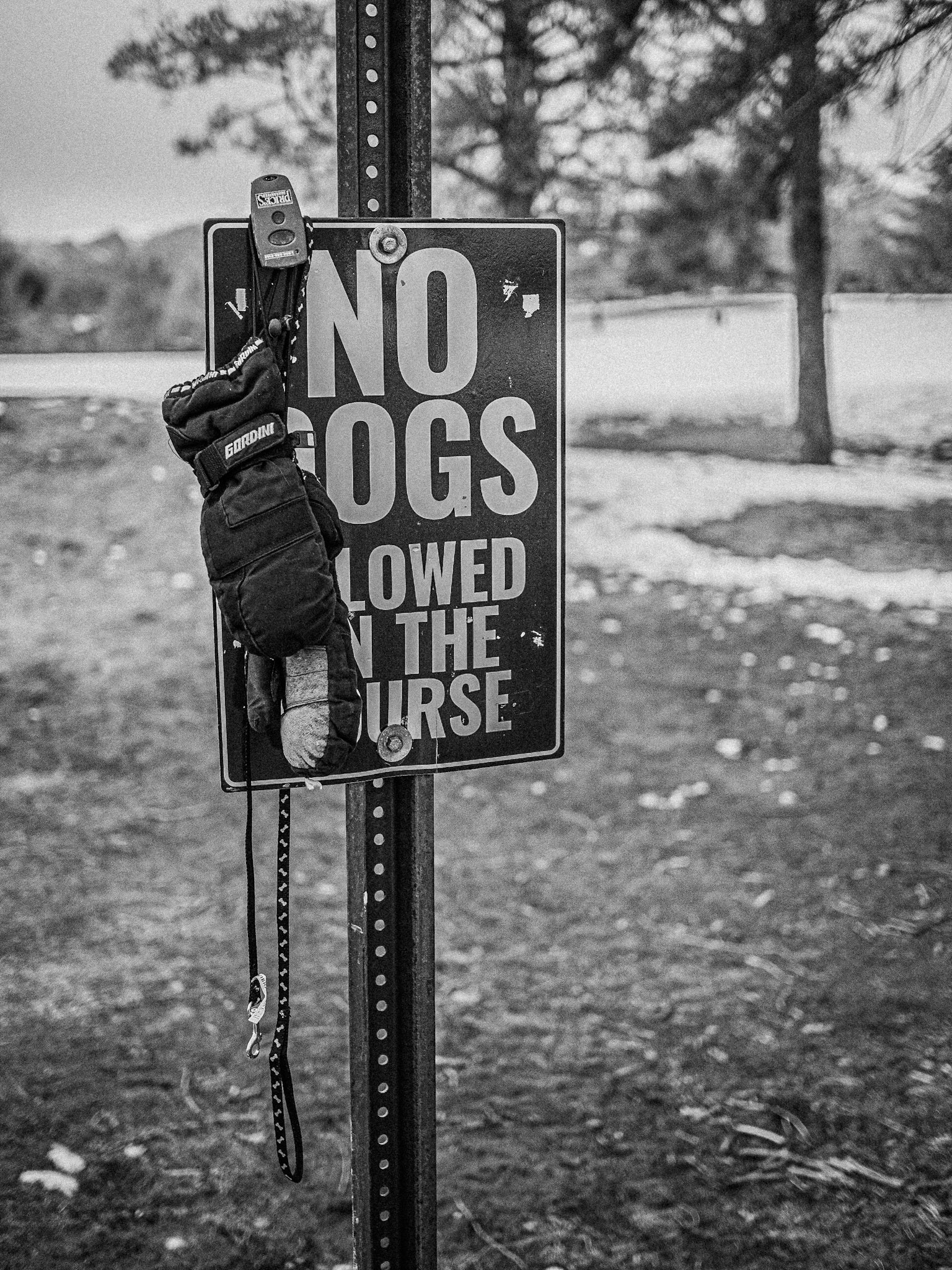 If you've lost something at the golf course, it's here.